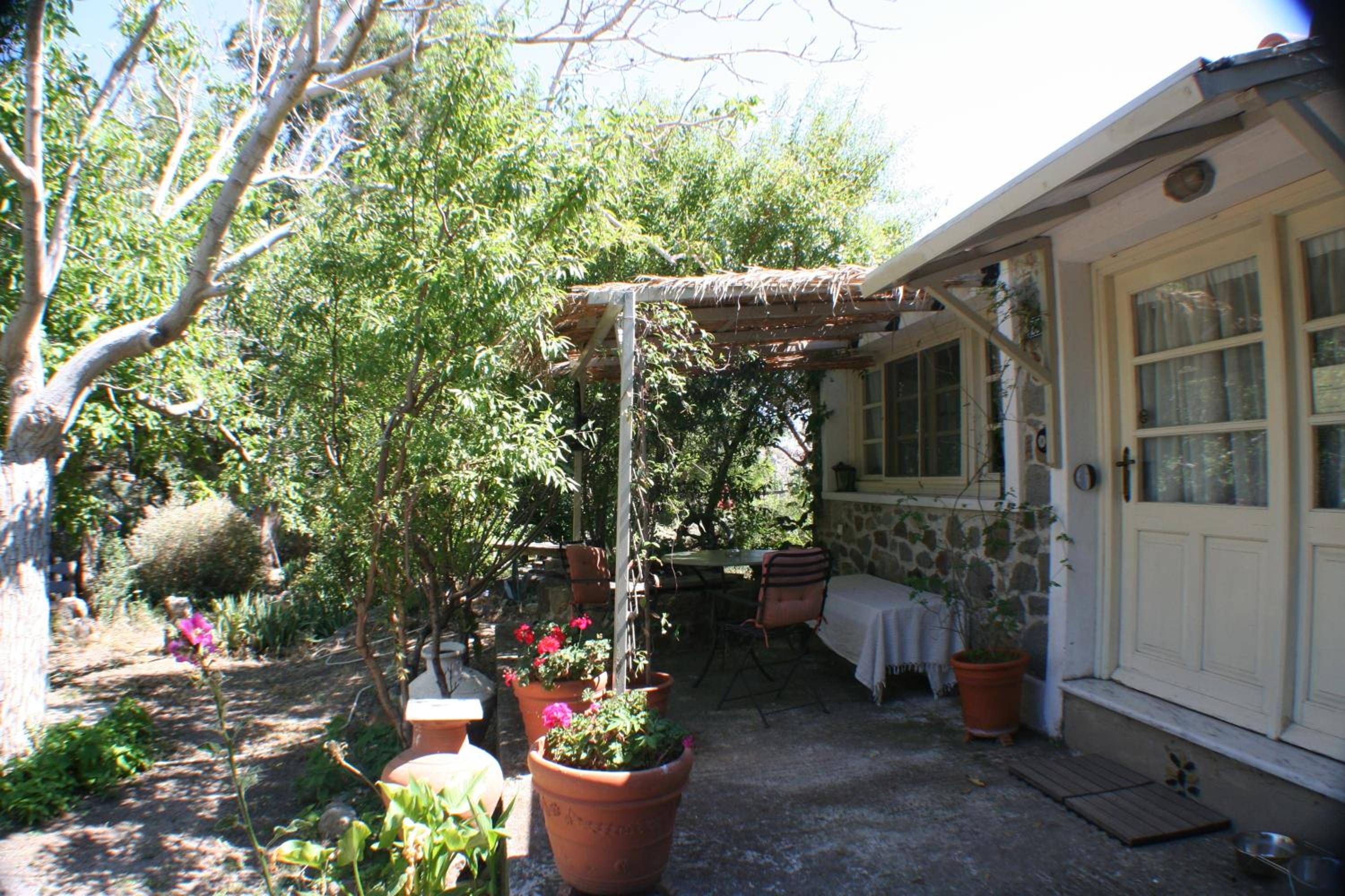 Photo 46