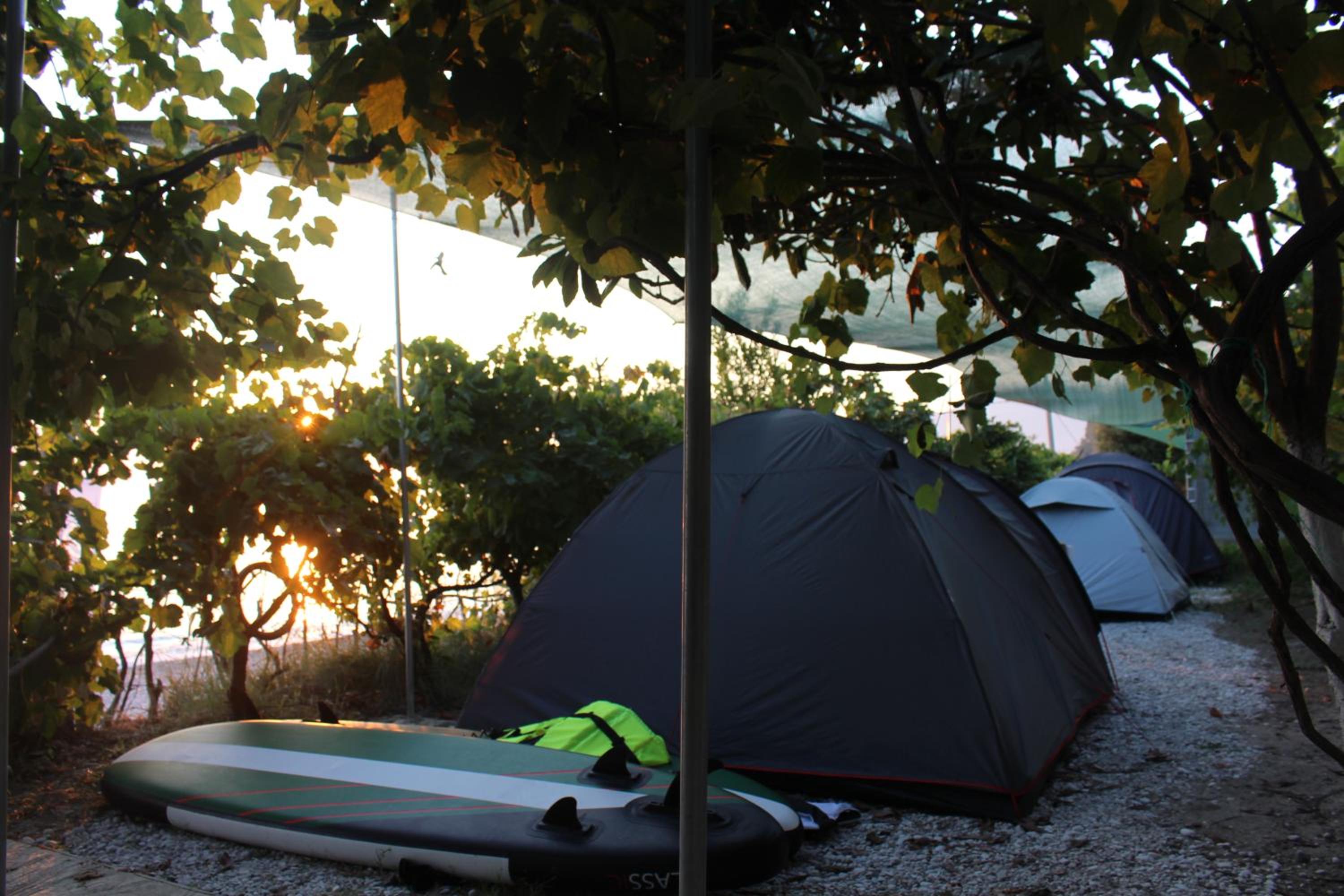 Camping Jungle in Borsh