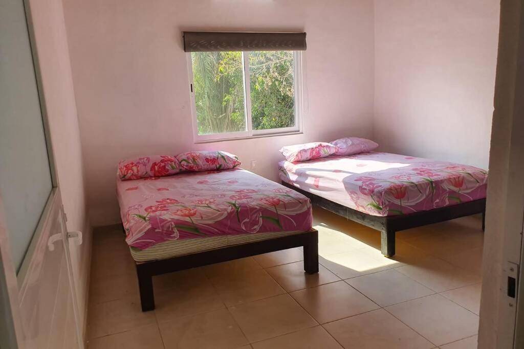 C7 Casas la colmena a 3 min playa alberca 4 rec, view 3
