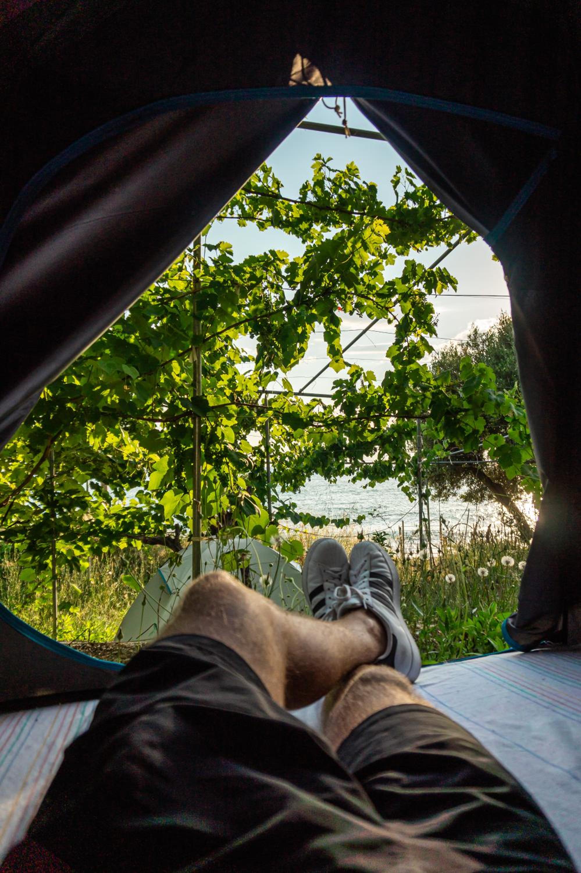 Camping Jungle in Borsh
