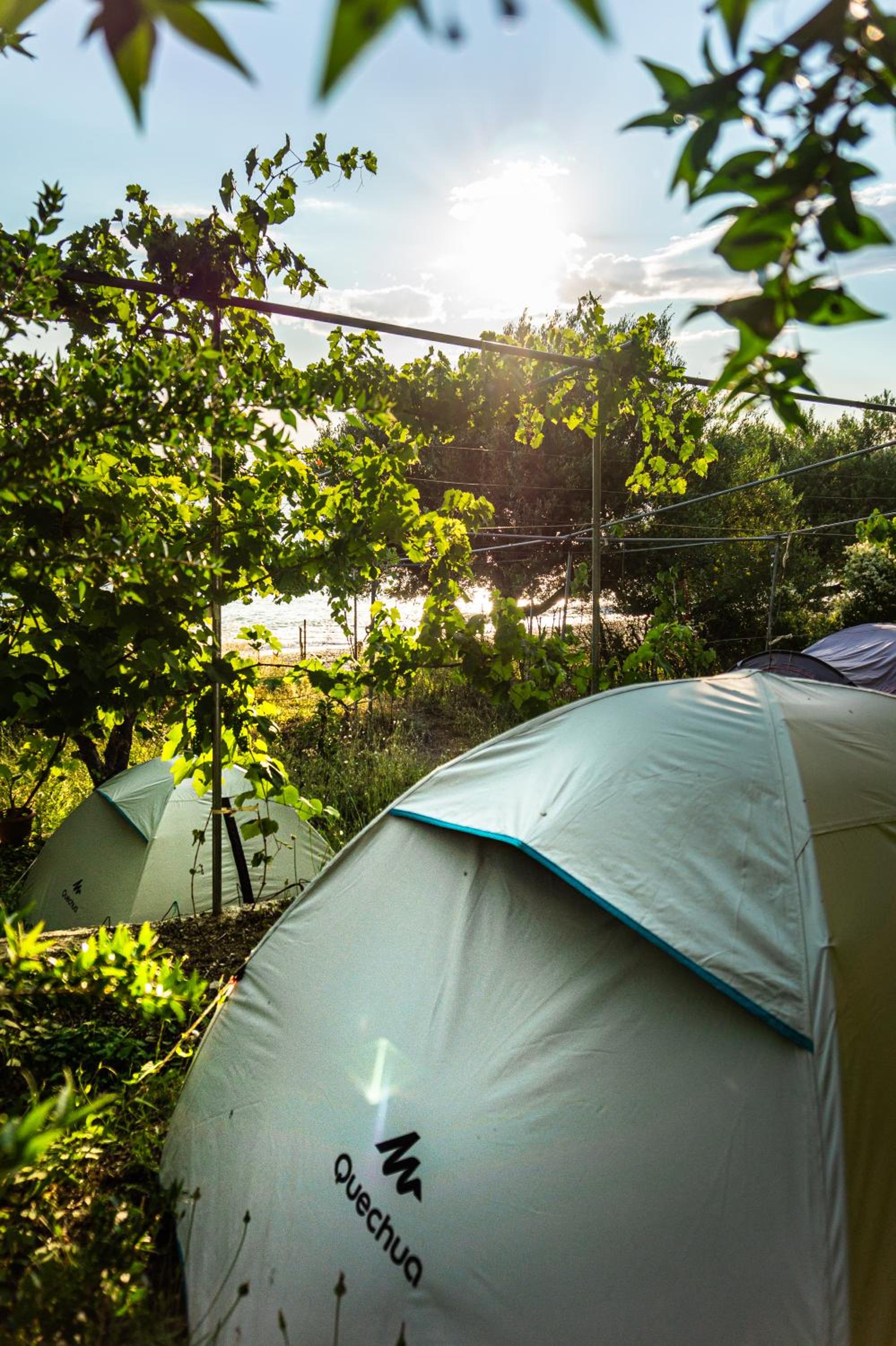 Camping Jungle in Borsh