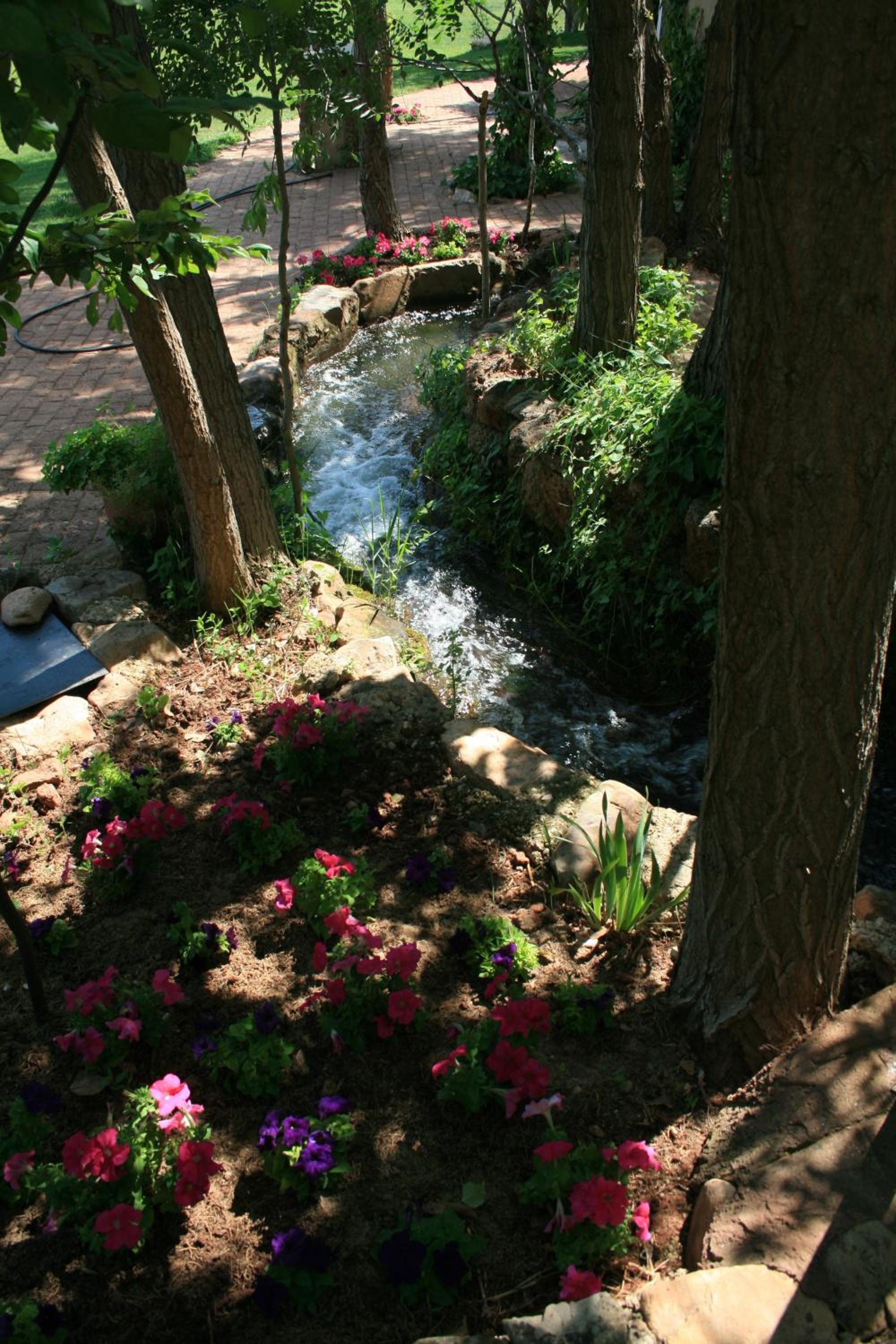Photo 15