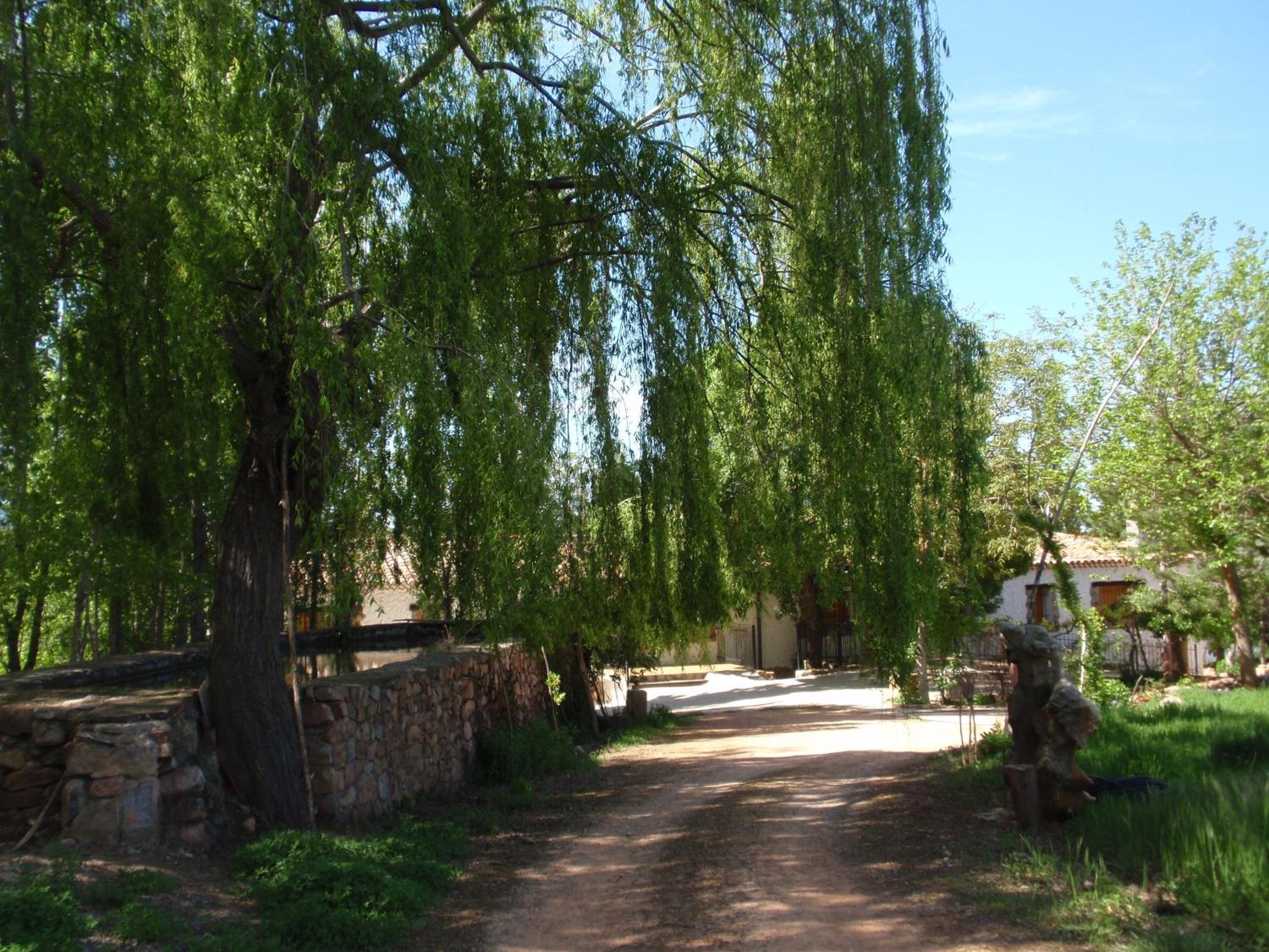 Photo 17