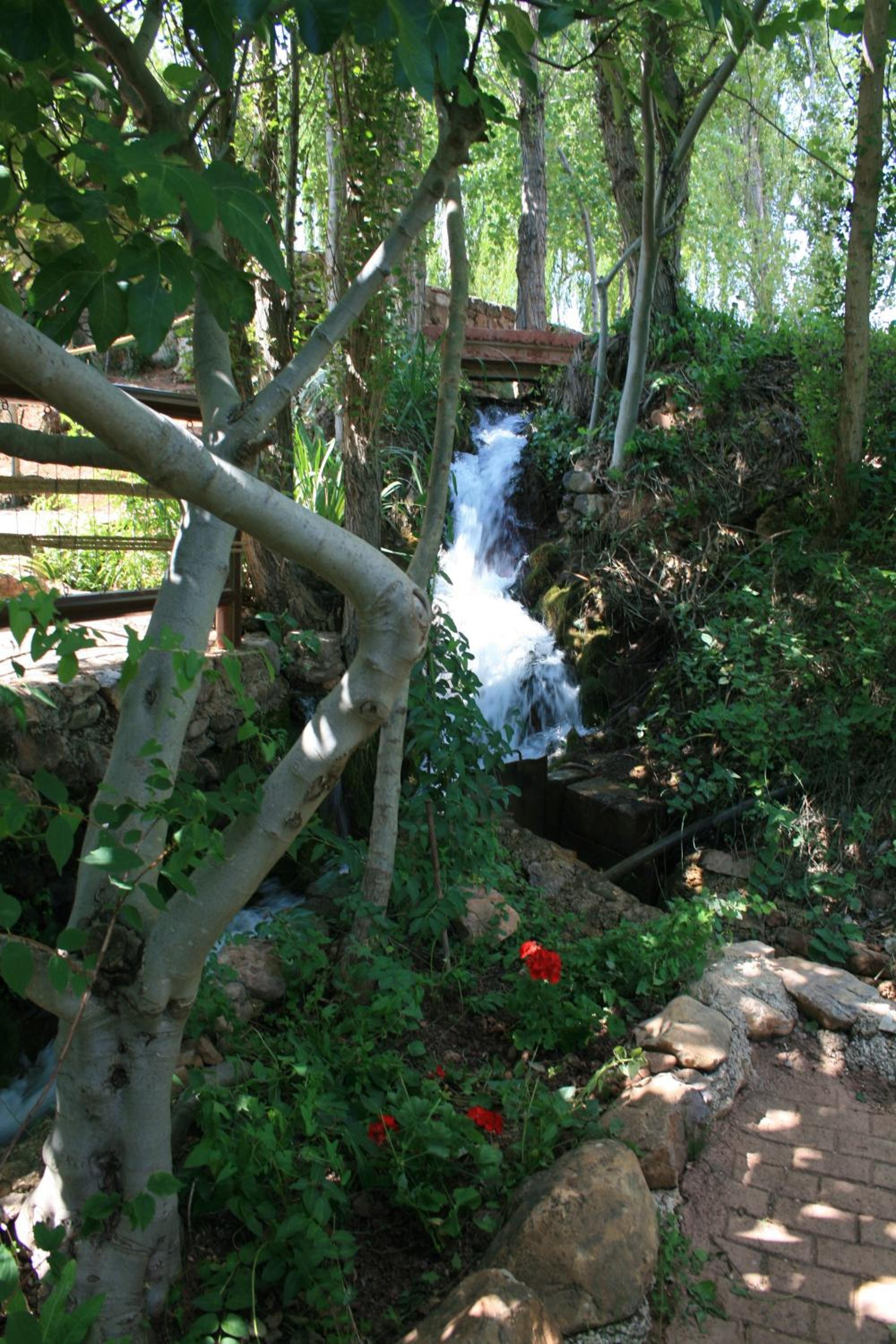 Photo 18