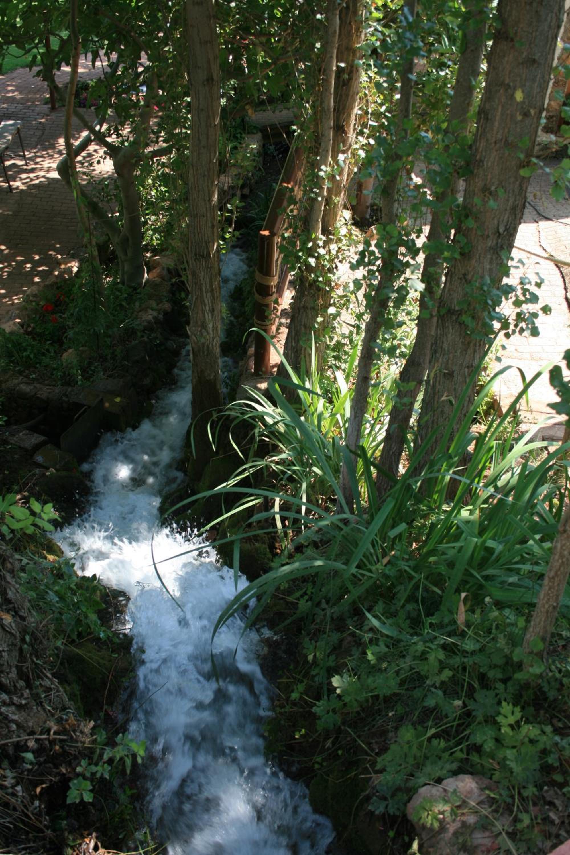 Photo 19