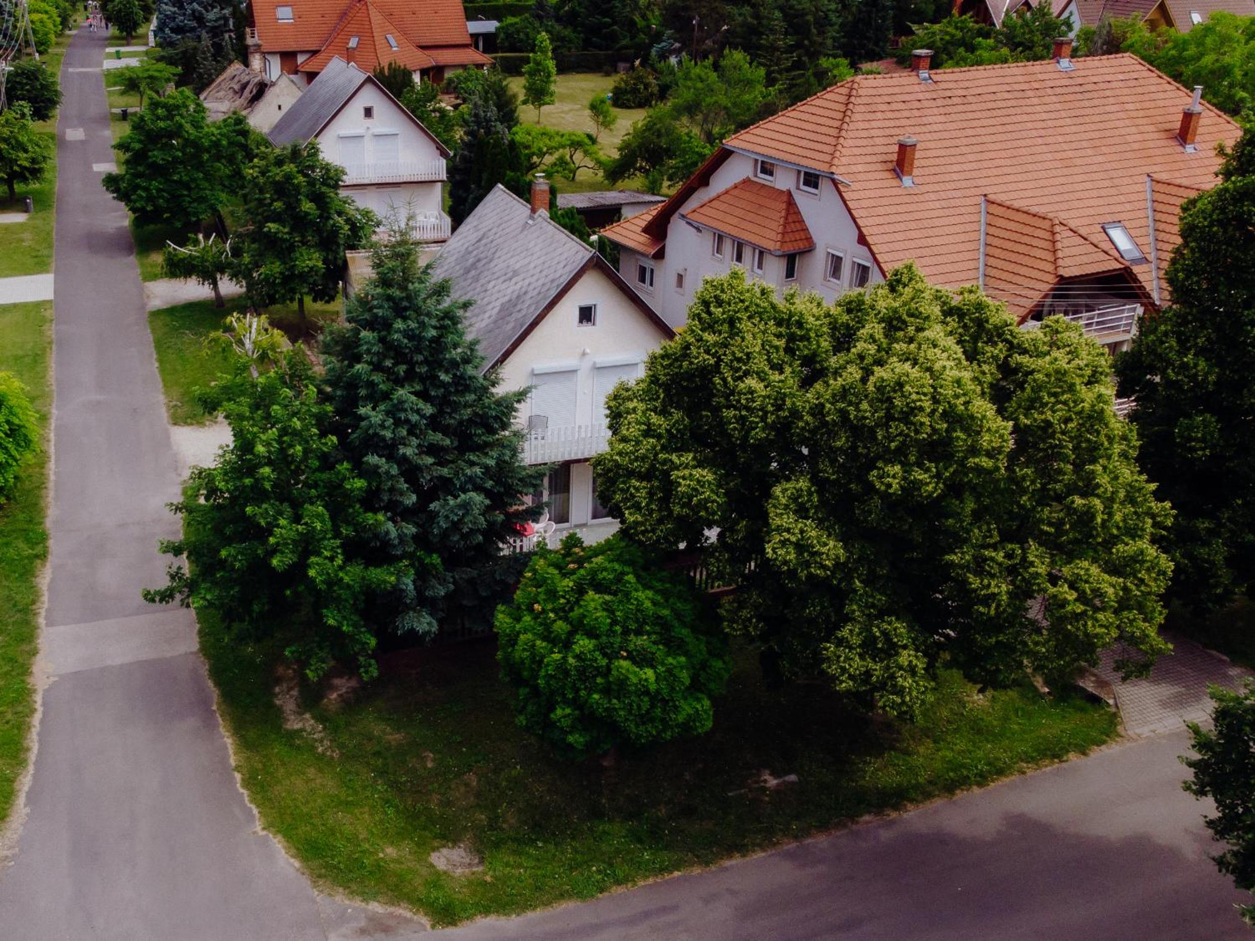 Nyírfa Apartman view 4