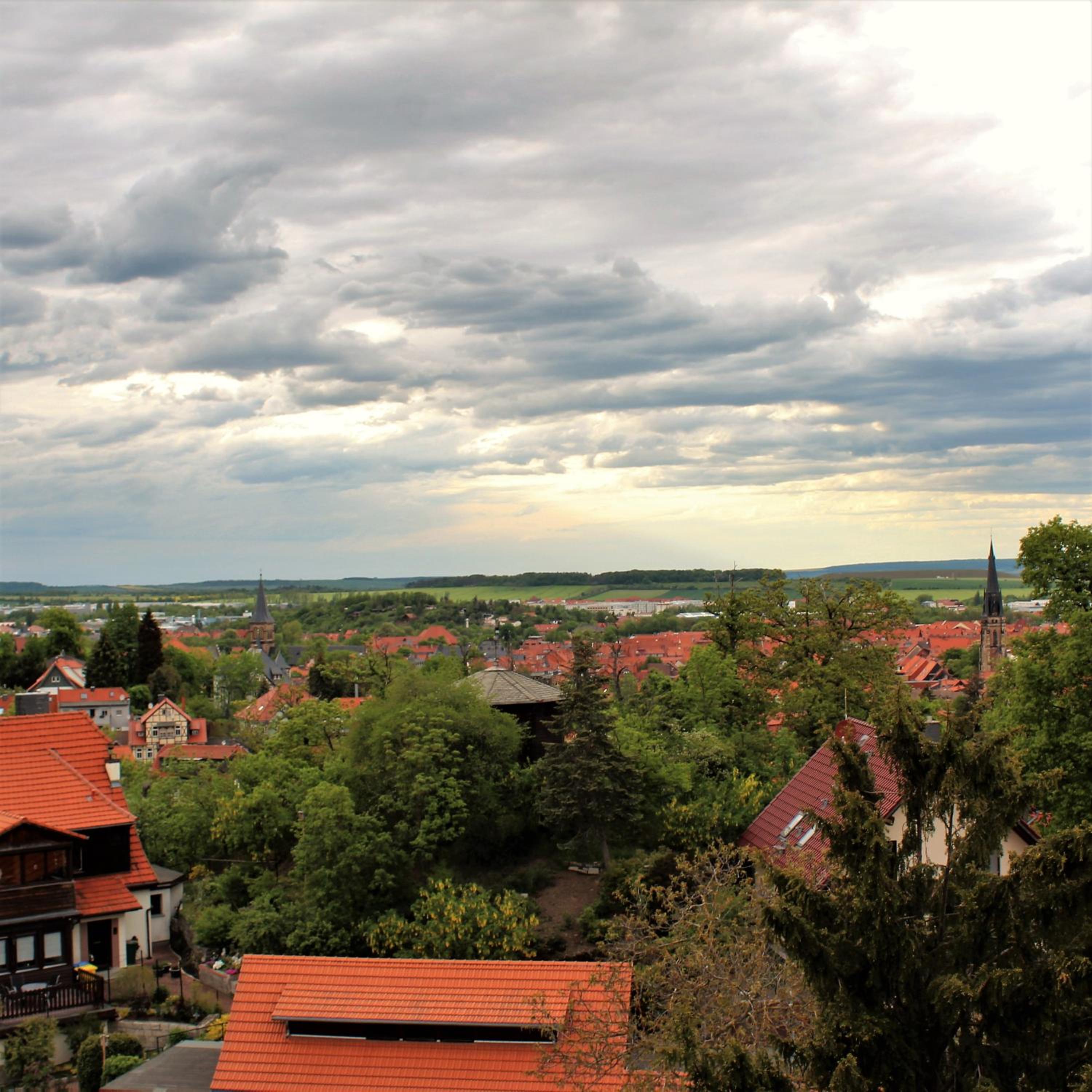 Photo 24