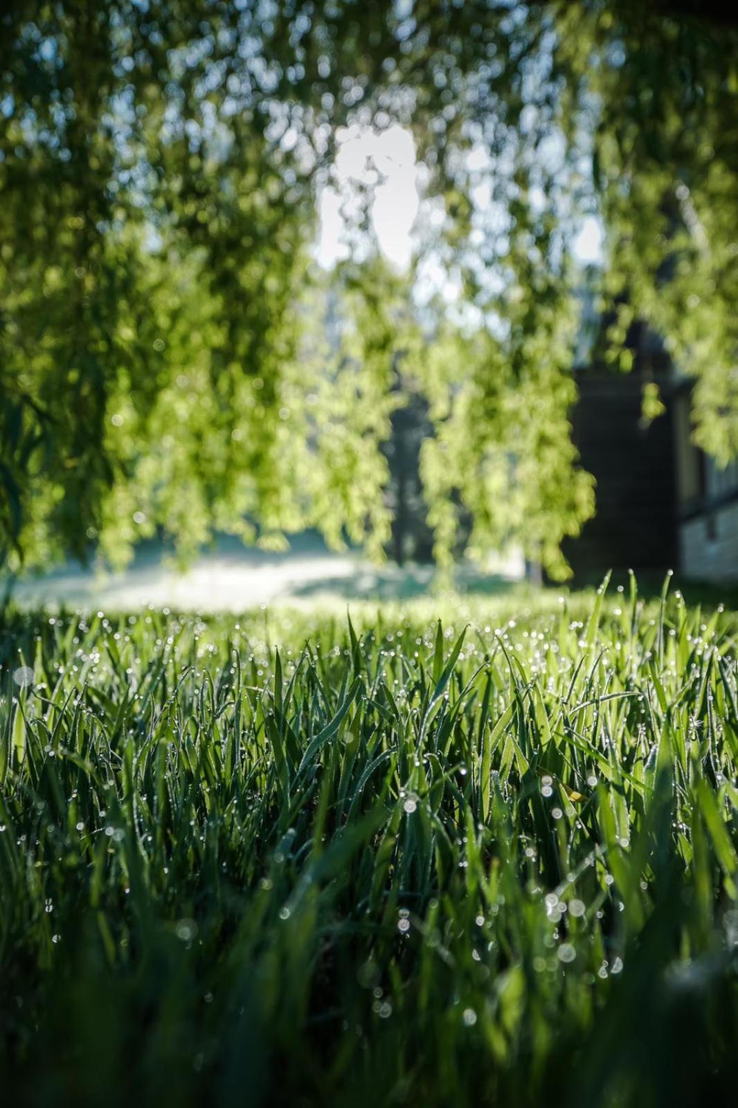 L'Herbe Haute, photo 49