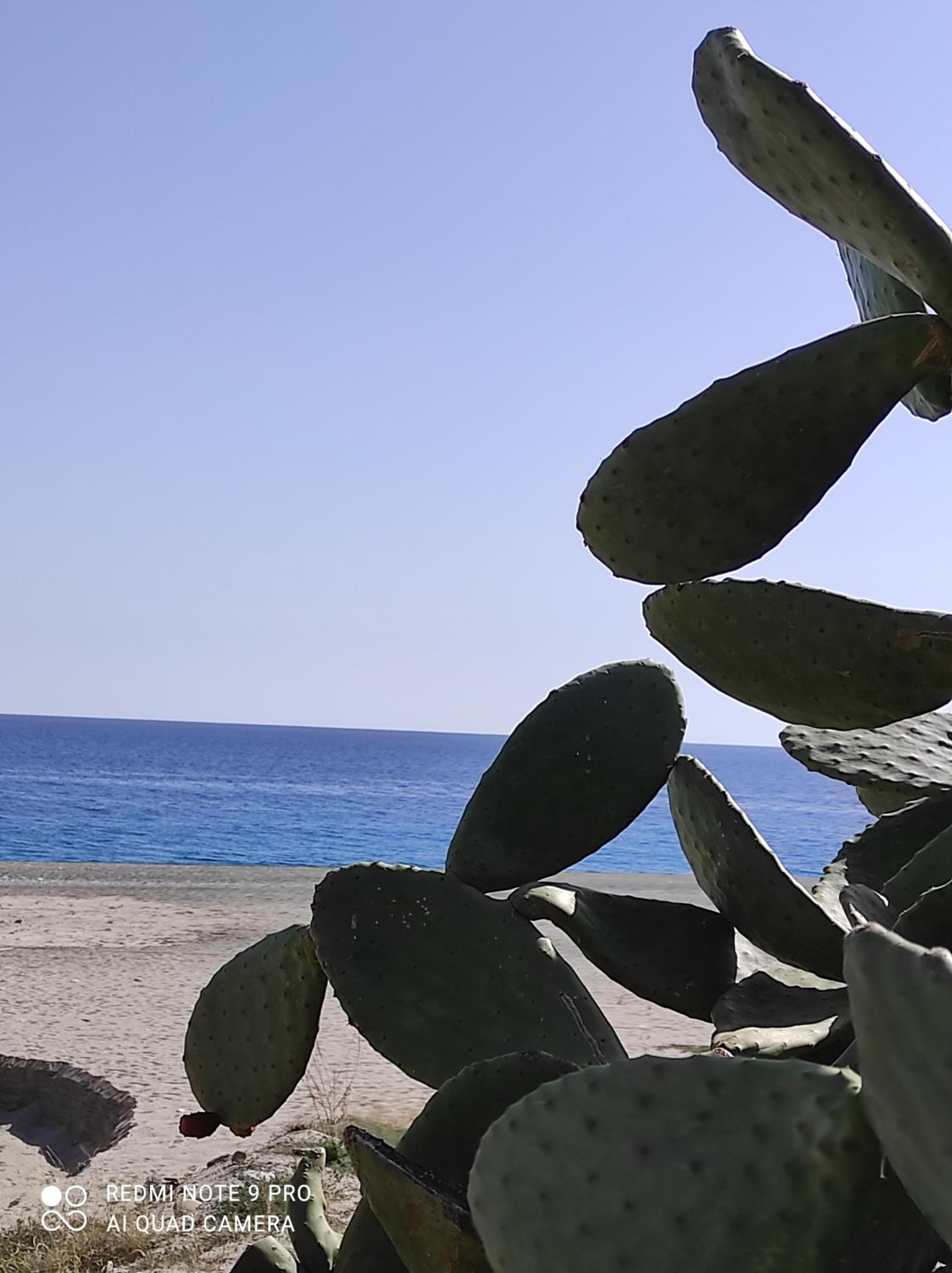 Terrazza sul Mare view 2