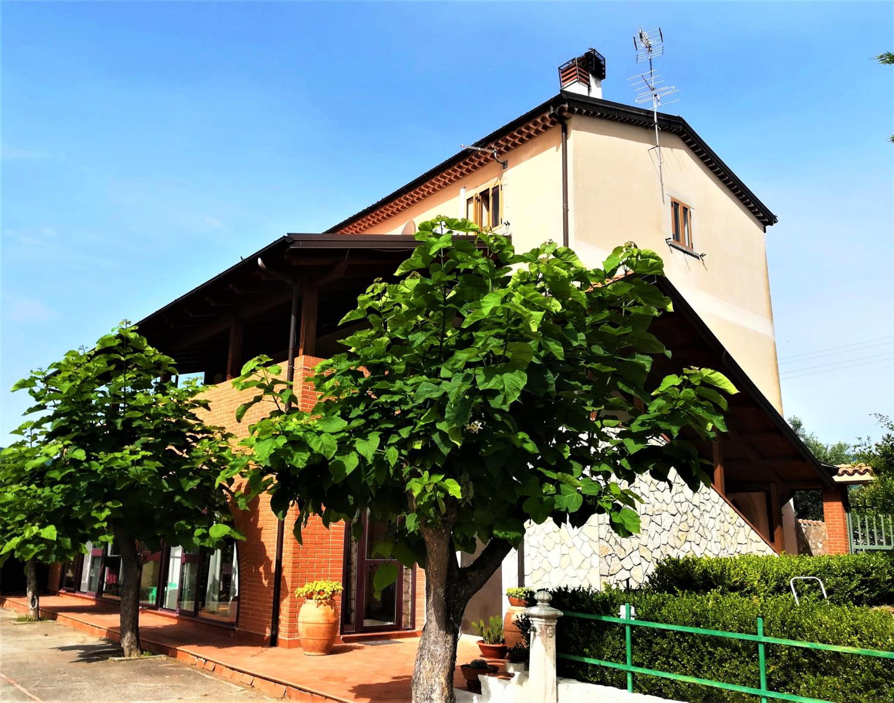 Photo 16
