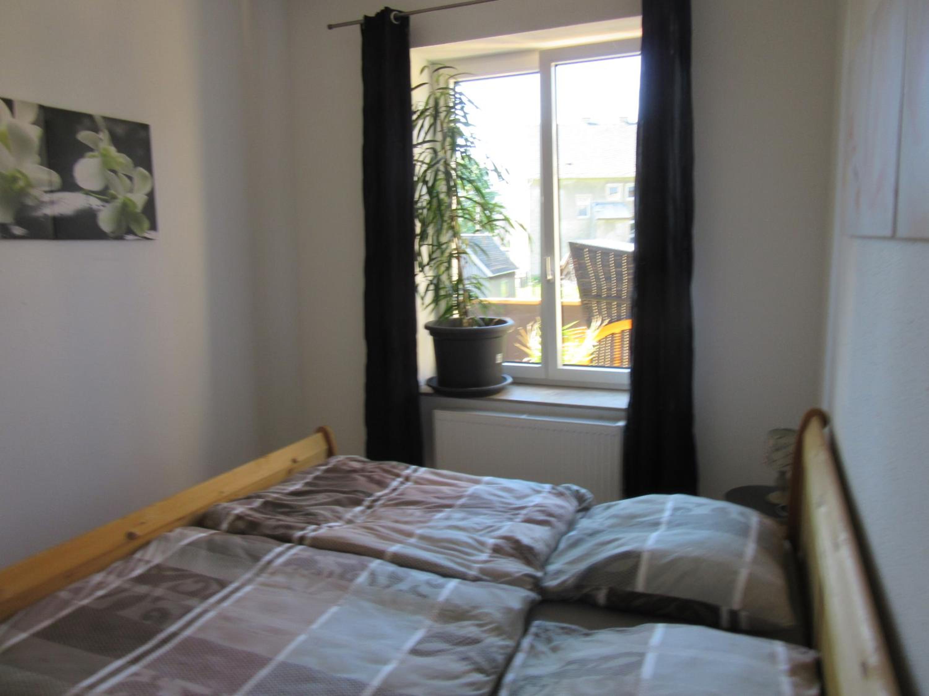 Photo 51