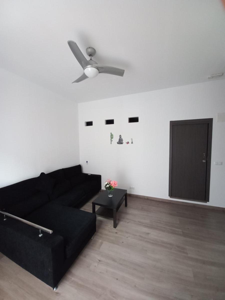 Holiday Home La Laguna Tenerife photo 3