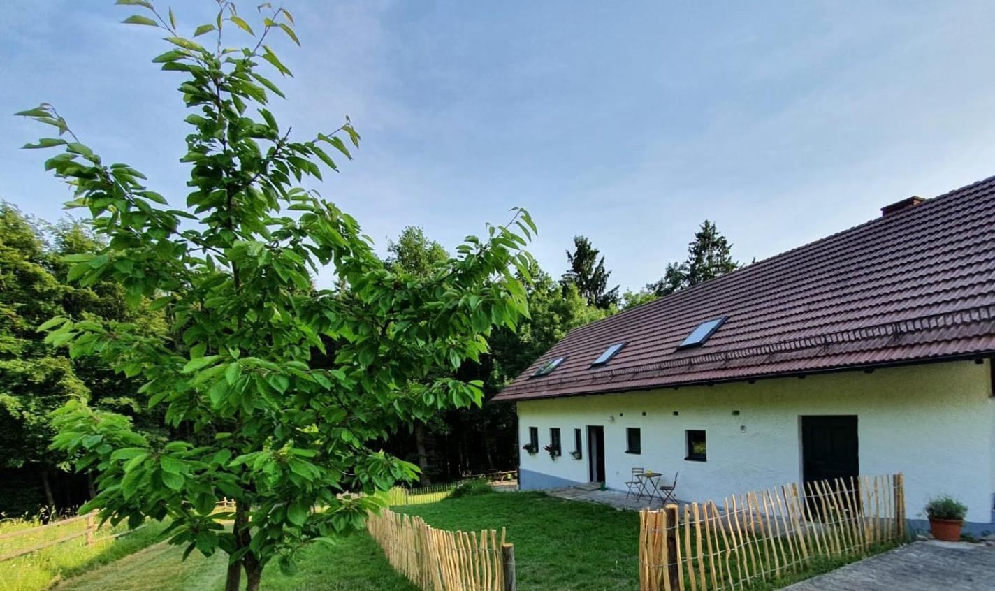 Ferienhaus am Dachsberg, Bayerischer Wald