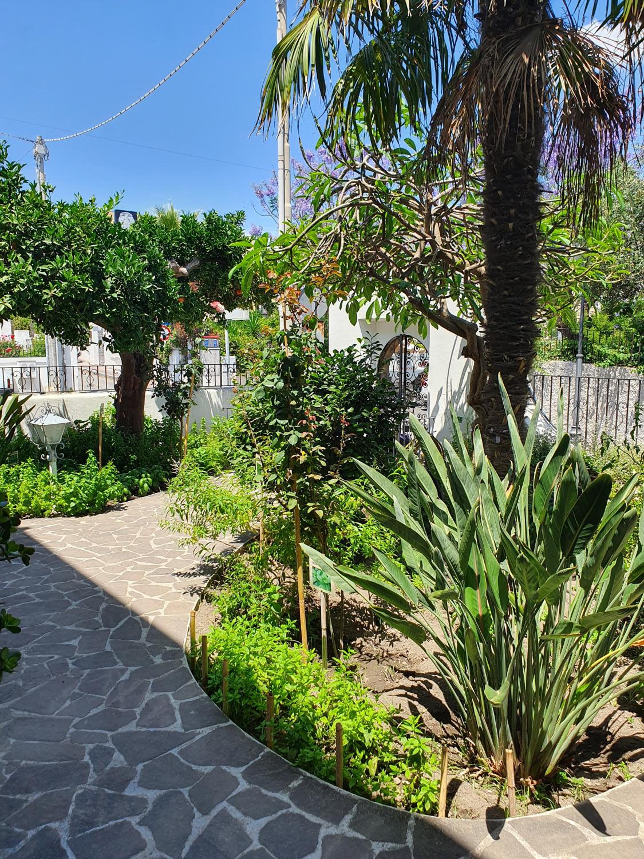 Hotel Casa DAFNE - Image 1