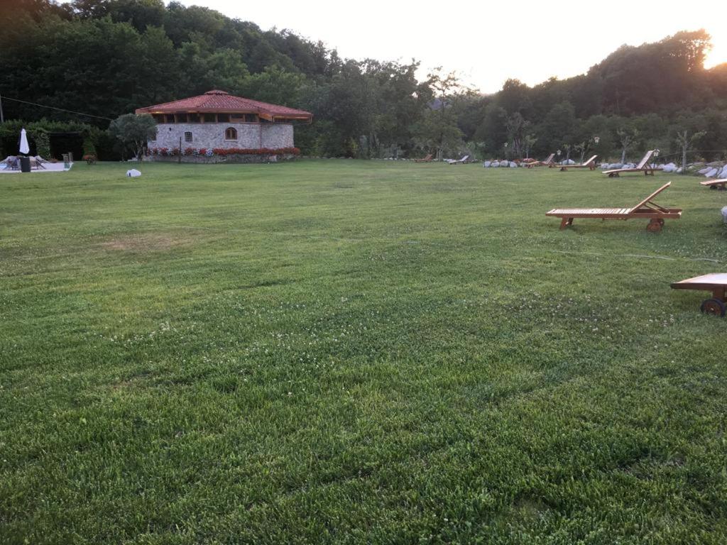 Photo 25