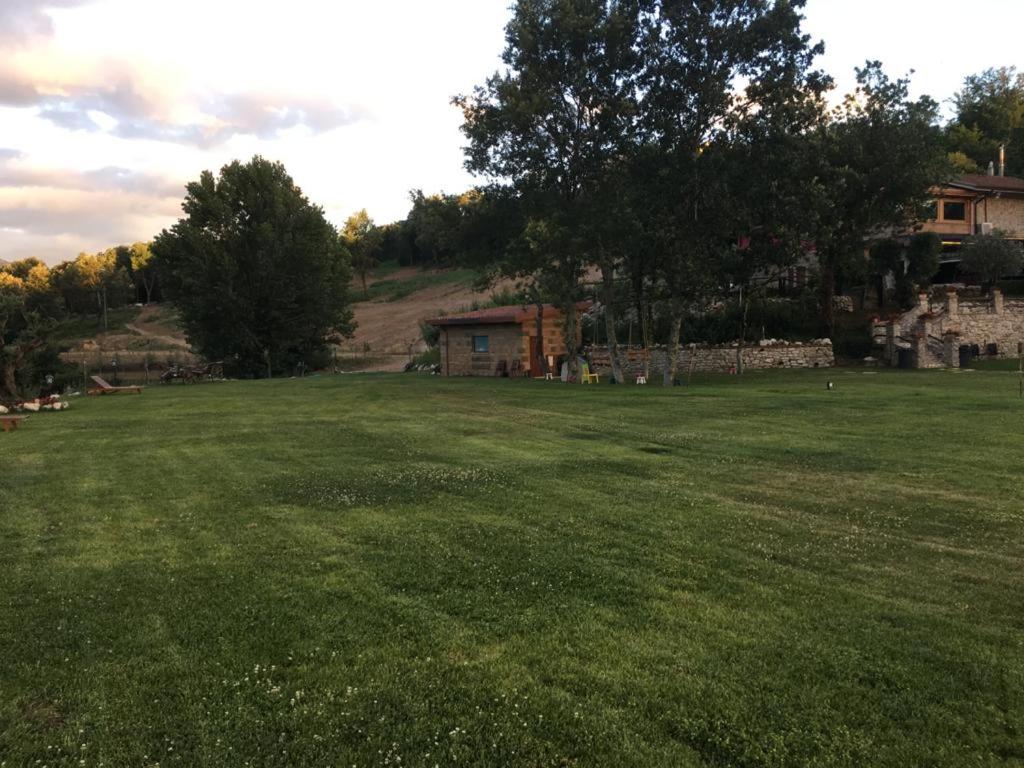 Photo 21