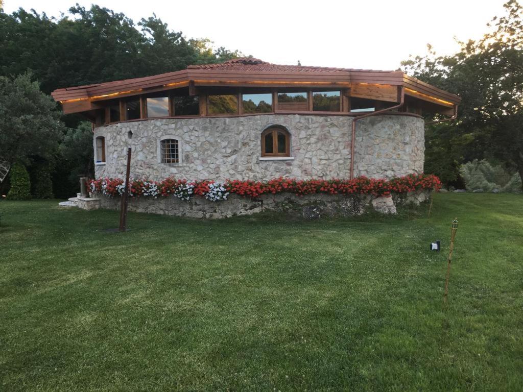 Photo 19