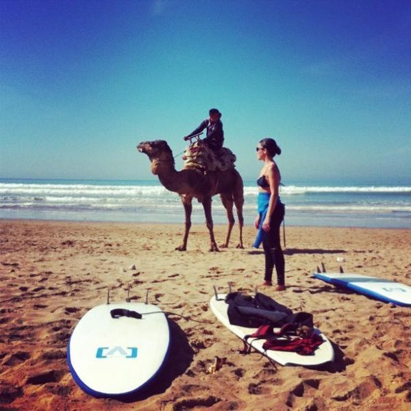 Luxueux appartement pied dans l'eau sur la plage d'Imi Ouaddar view 2