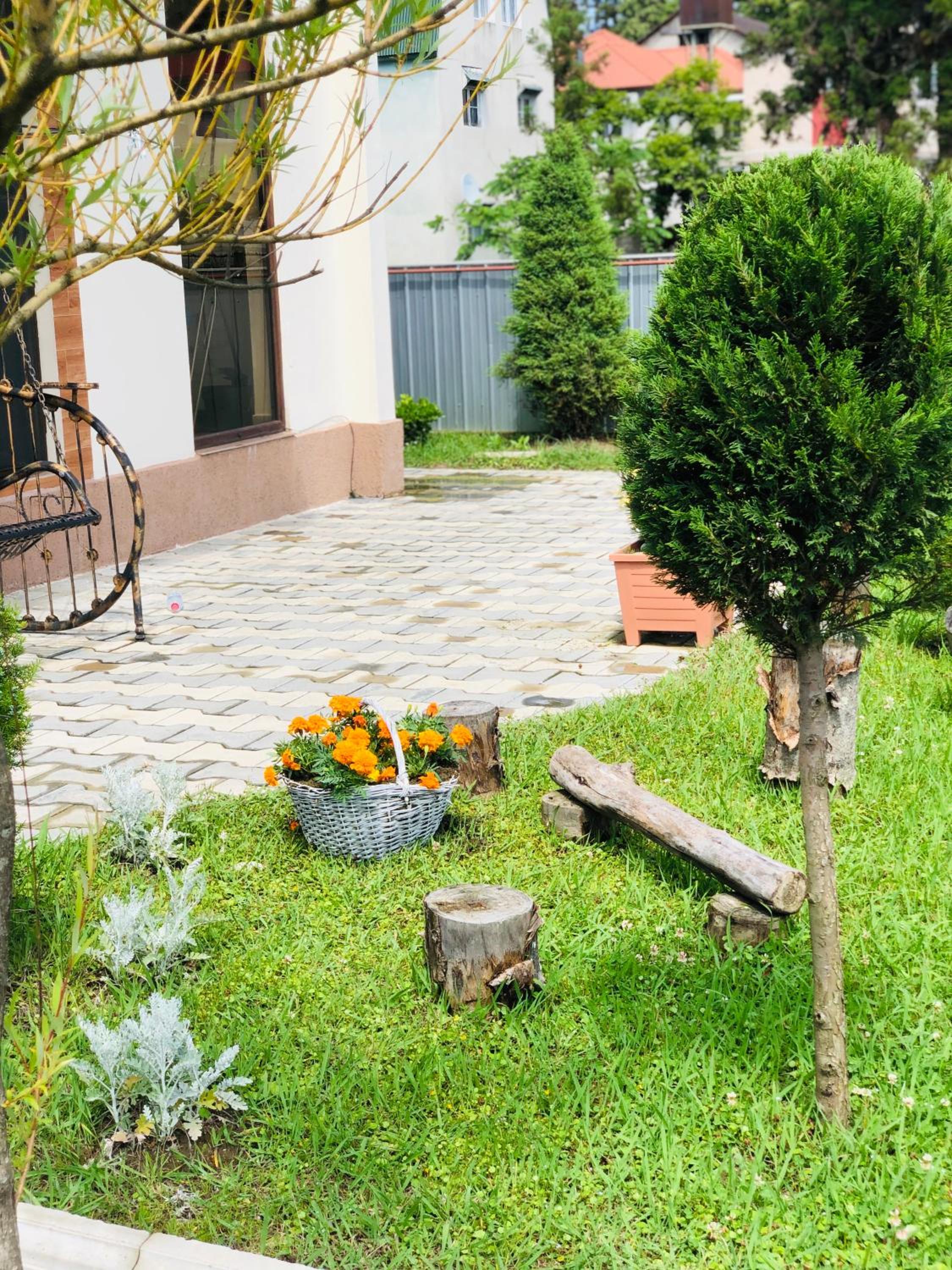 Photo 12