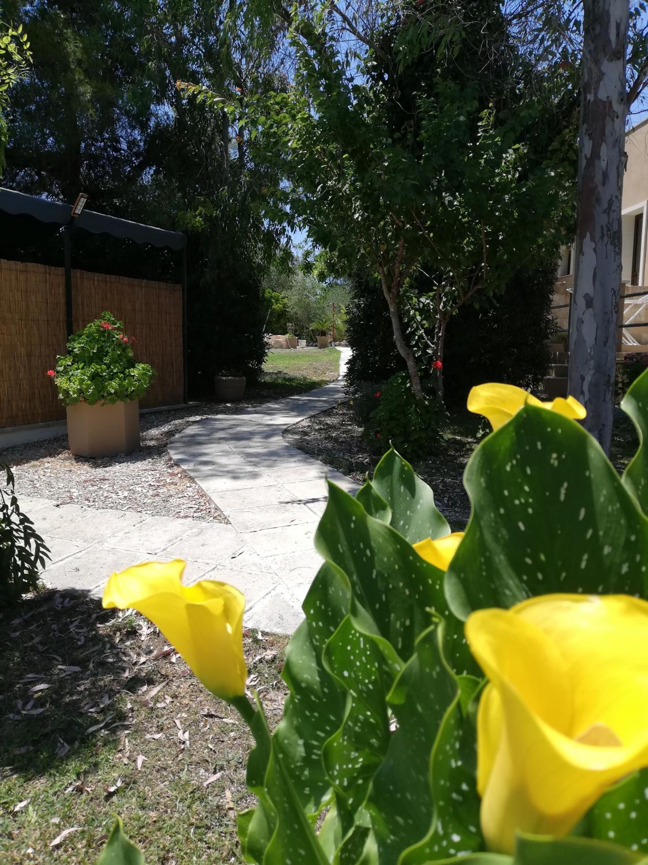 Photo 8