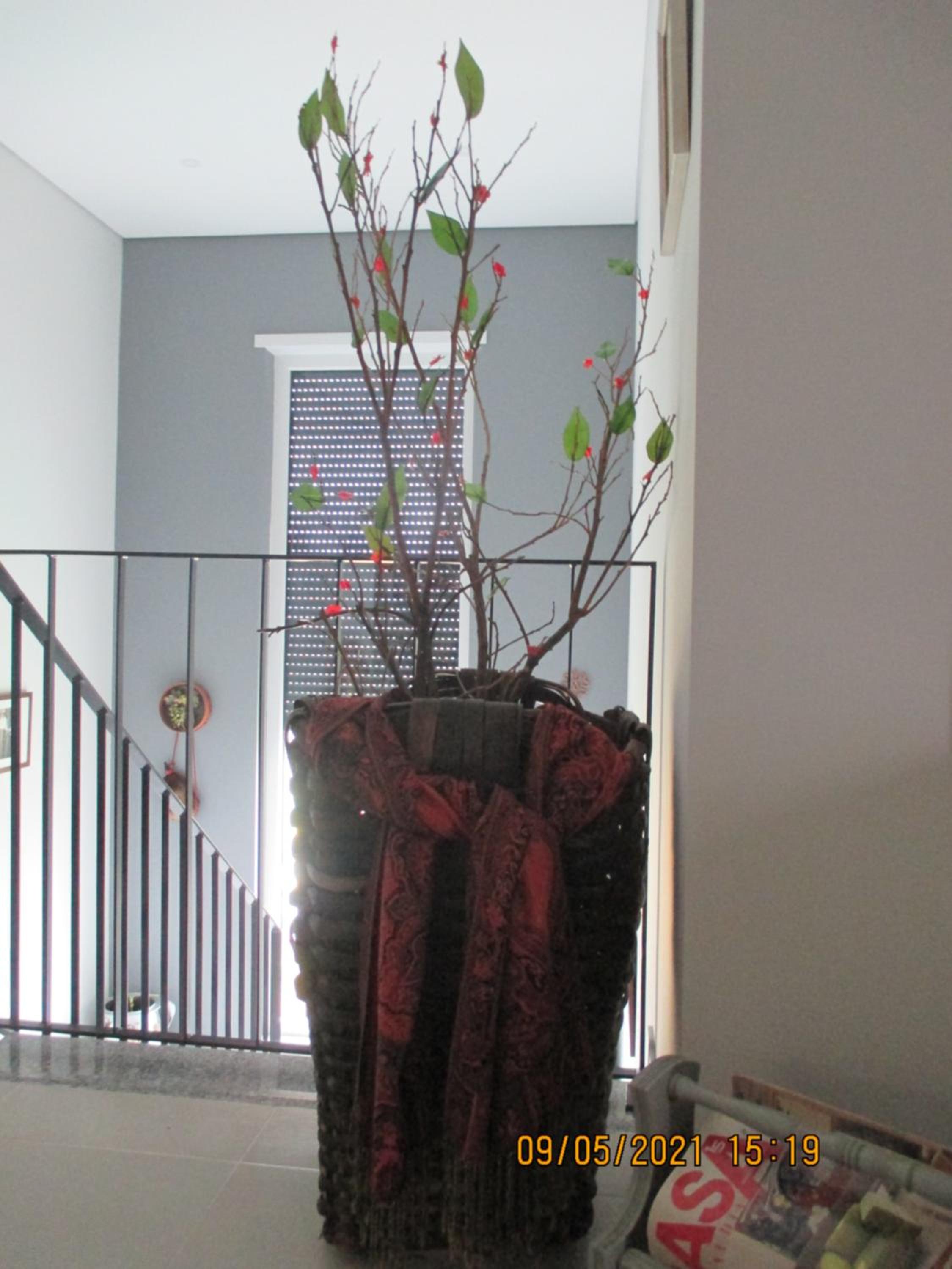 Photo 34