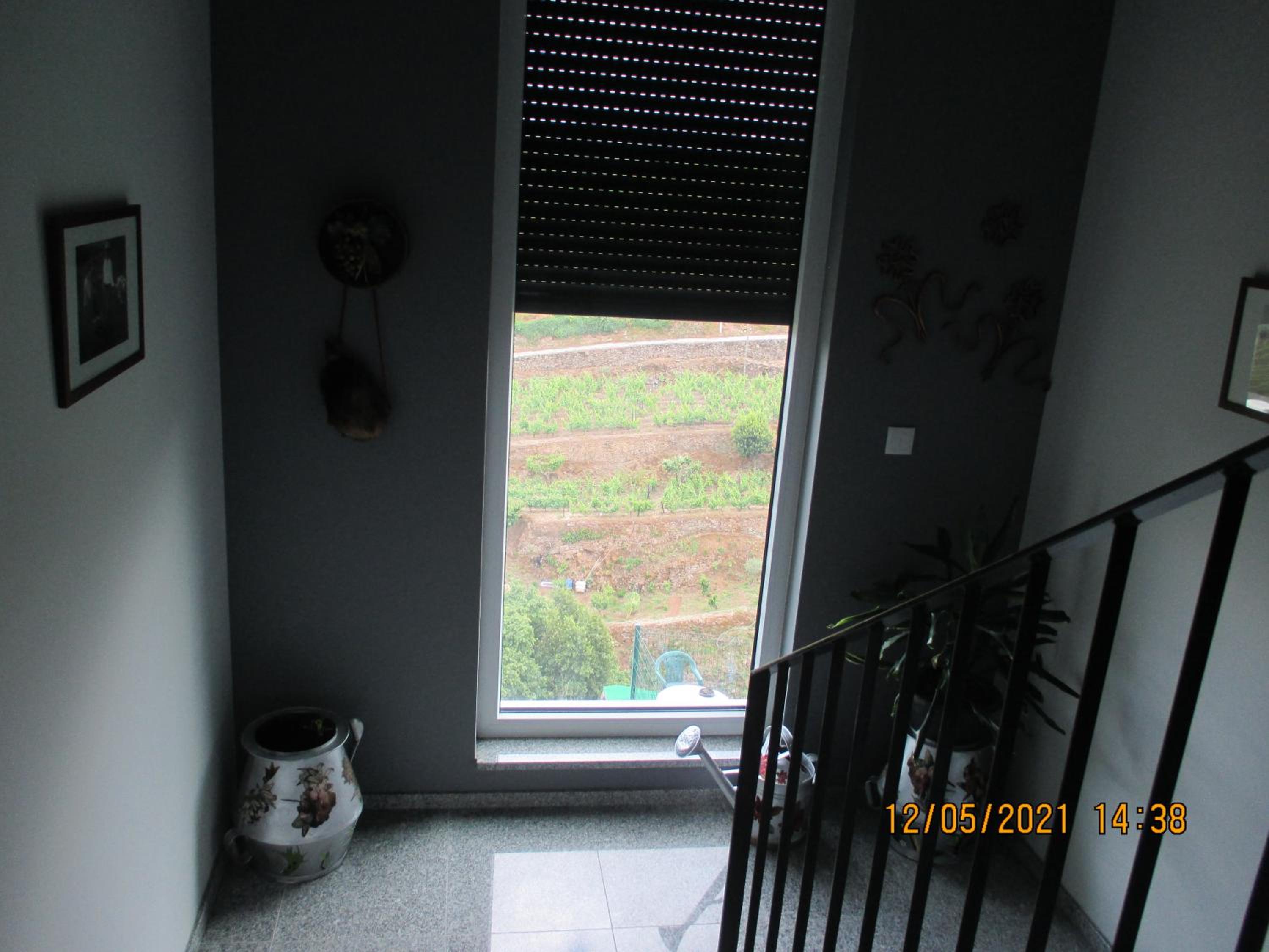 Photo 37