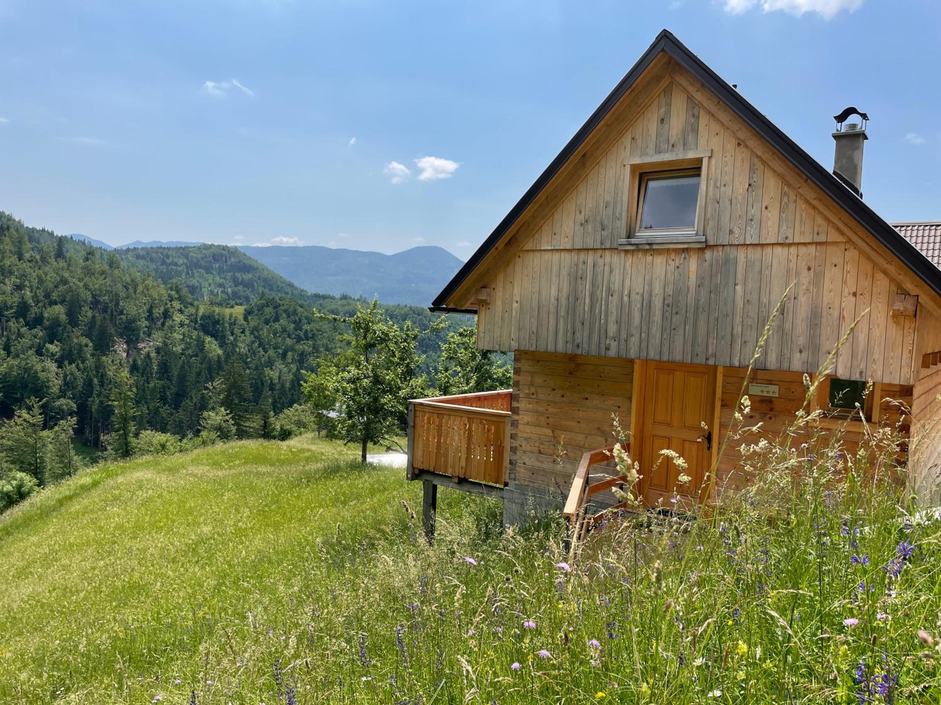 Miha`s cottage view 2