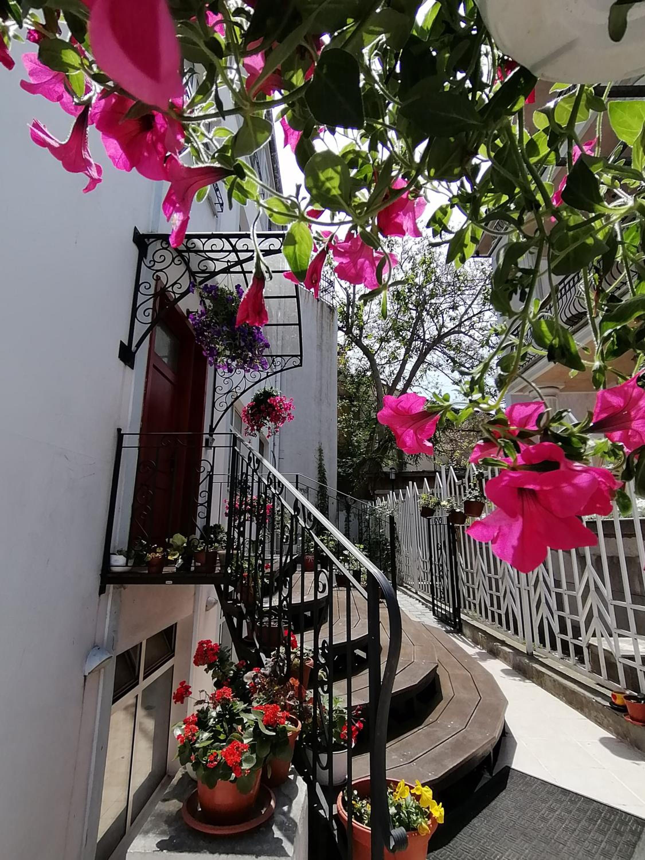 City Boutique Inn