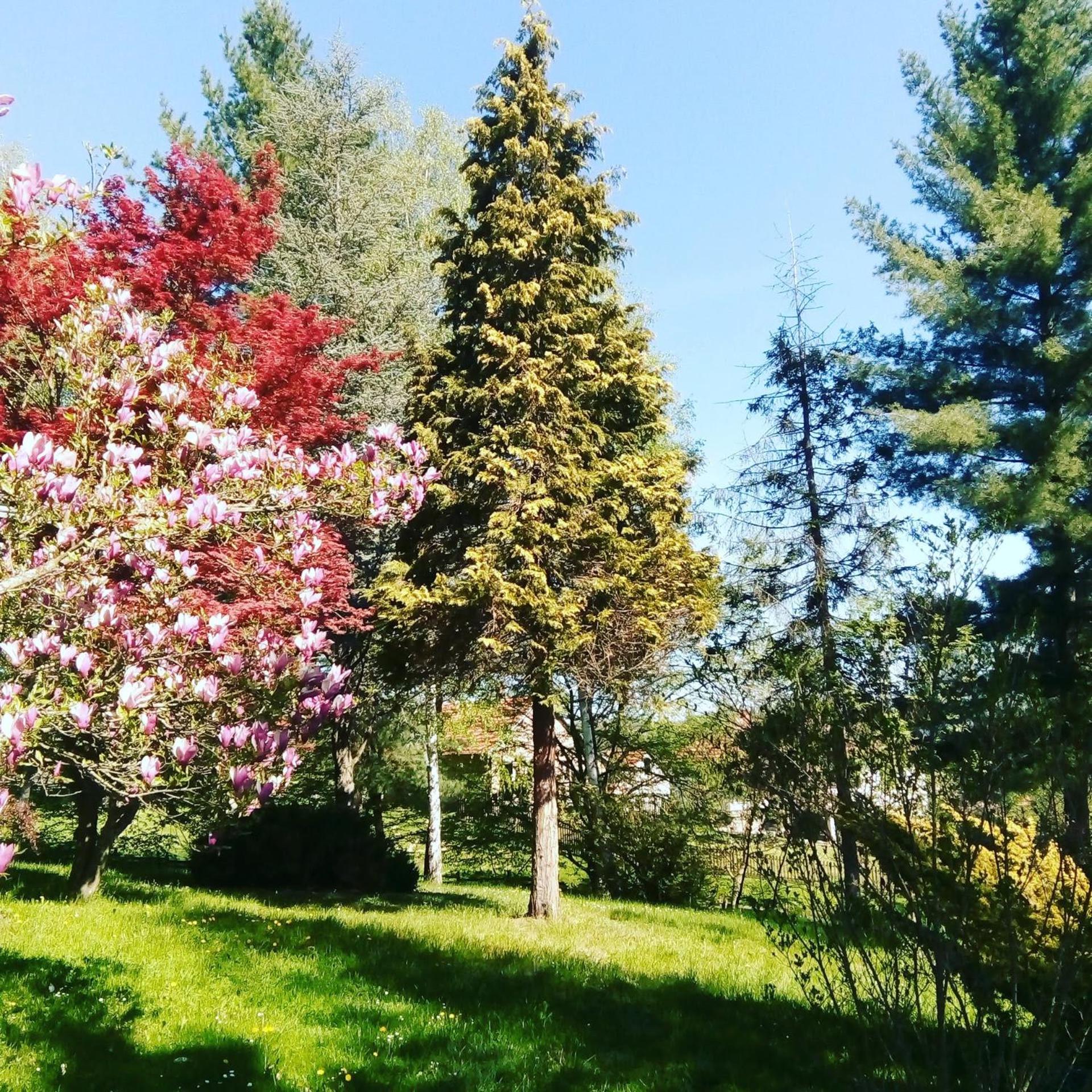 Takovo - odmor u selu view 4