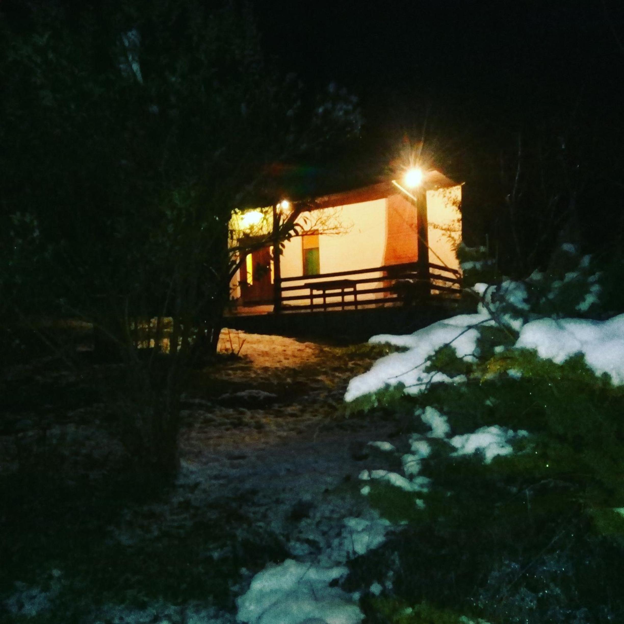 Photo 31