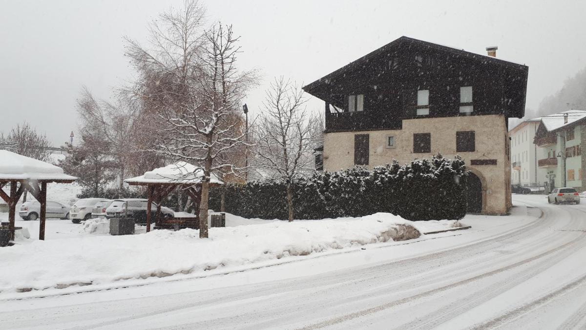 il Maso in Val di Sole photo 2