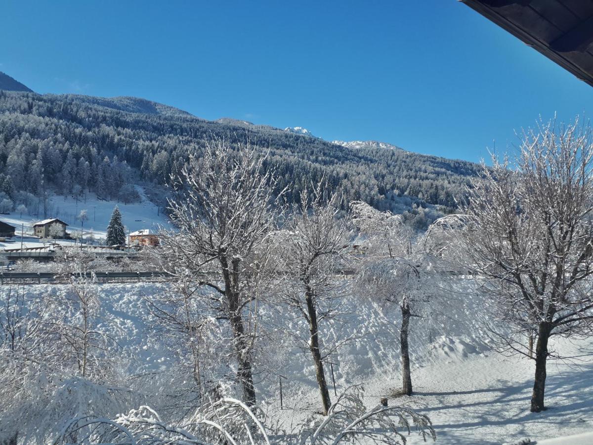 il Maso in Val di Sole photo 3