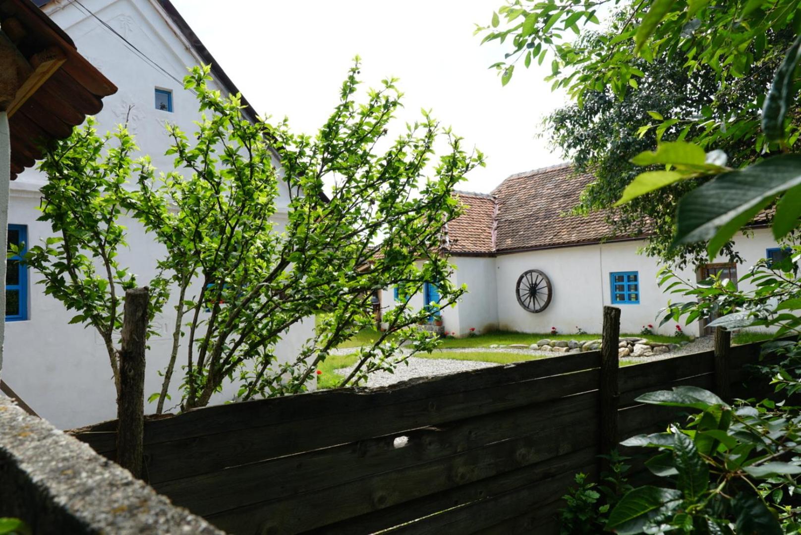 Photo 49
