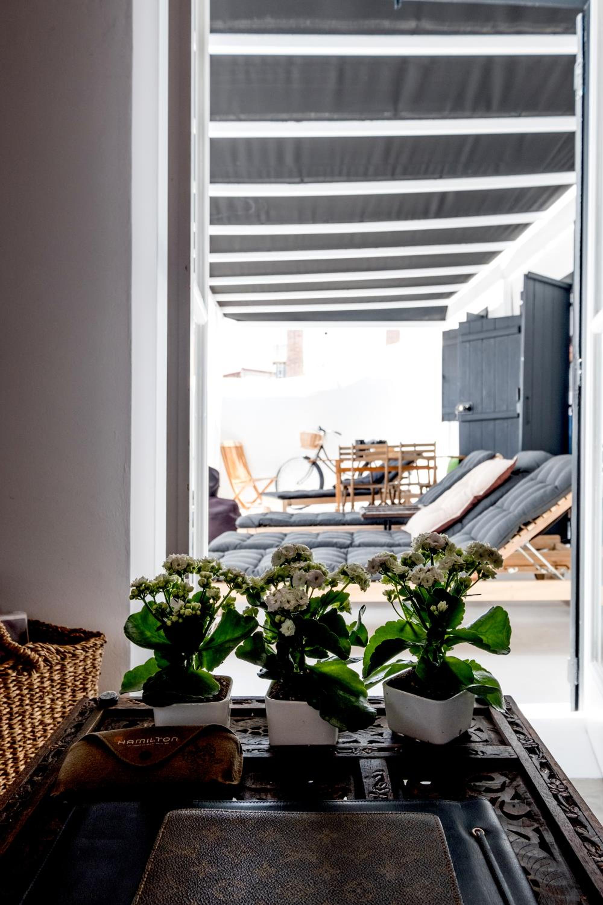 Casa BOHO