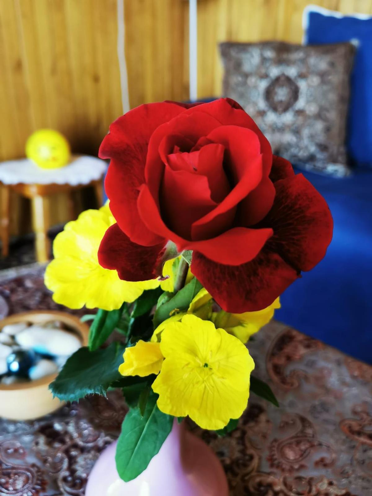 Photo 34