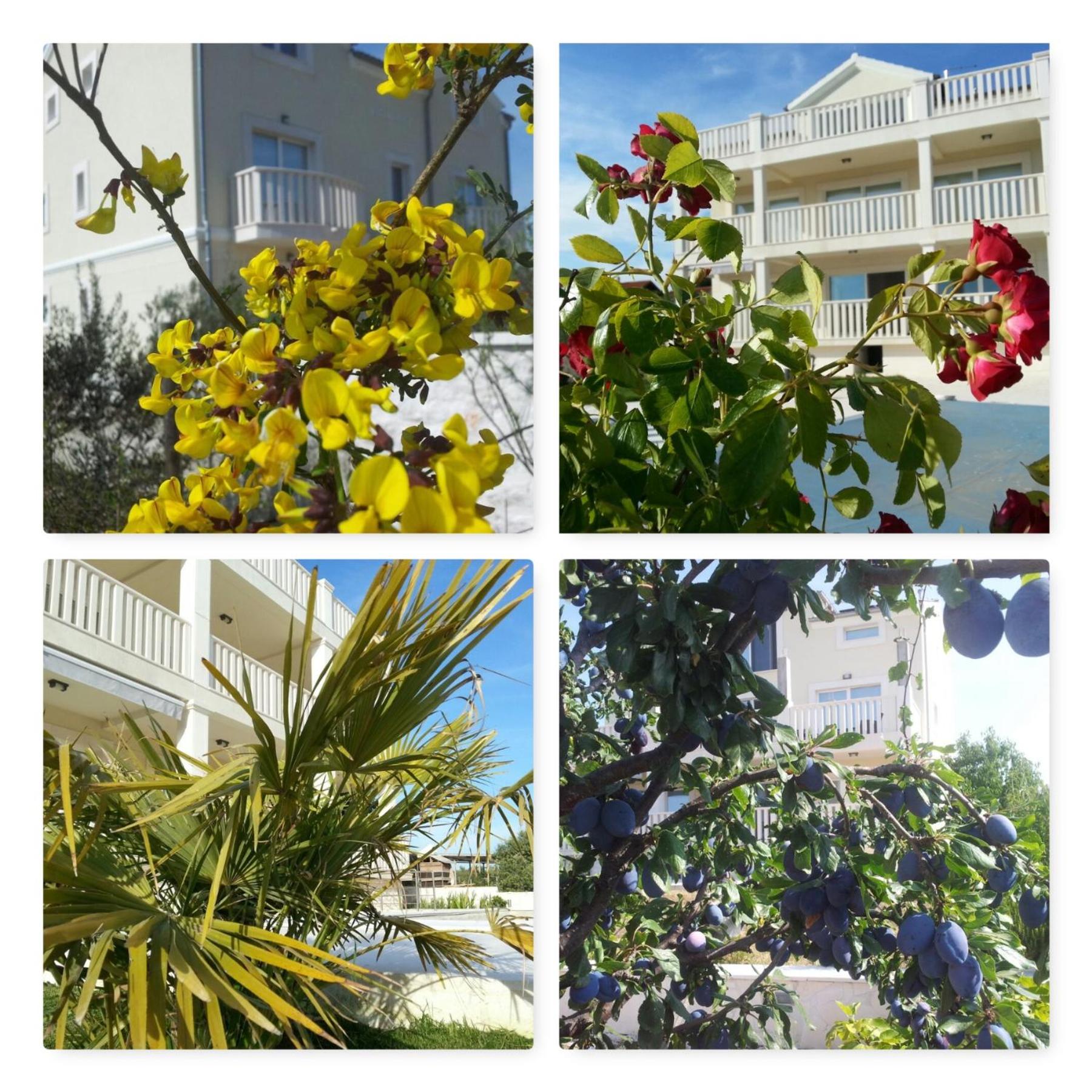 Luxury Villas Bachelors view 5