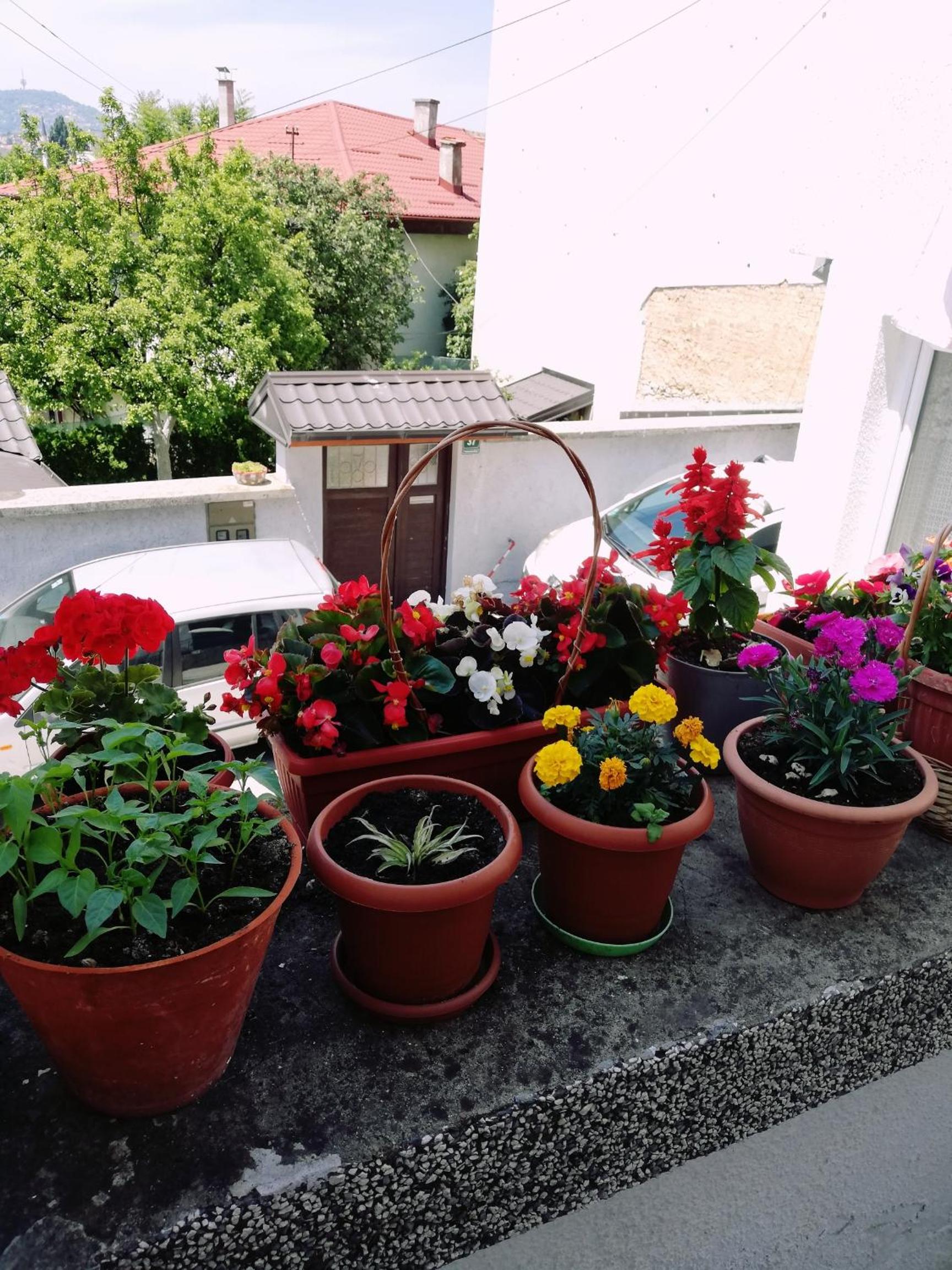 Apartman Ohren