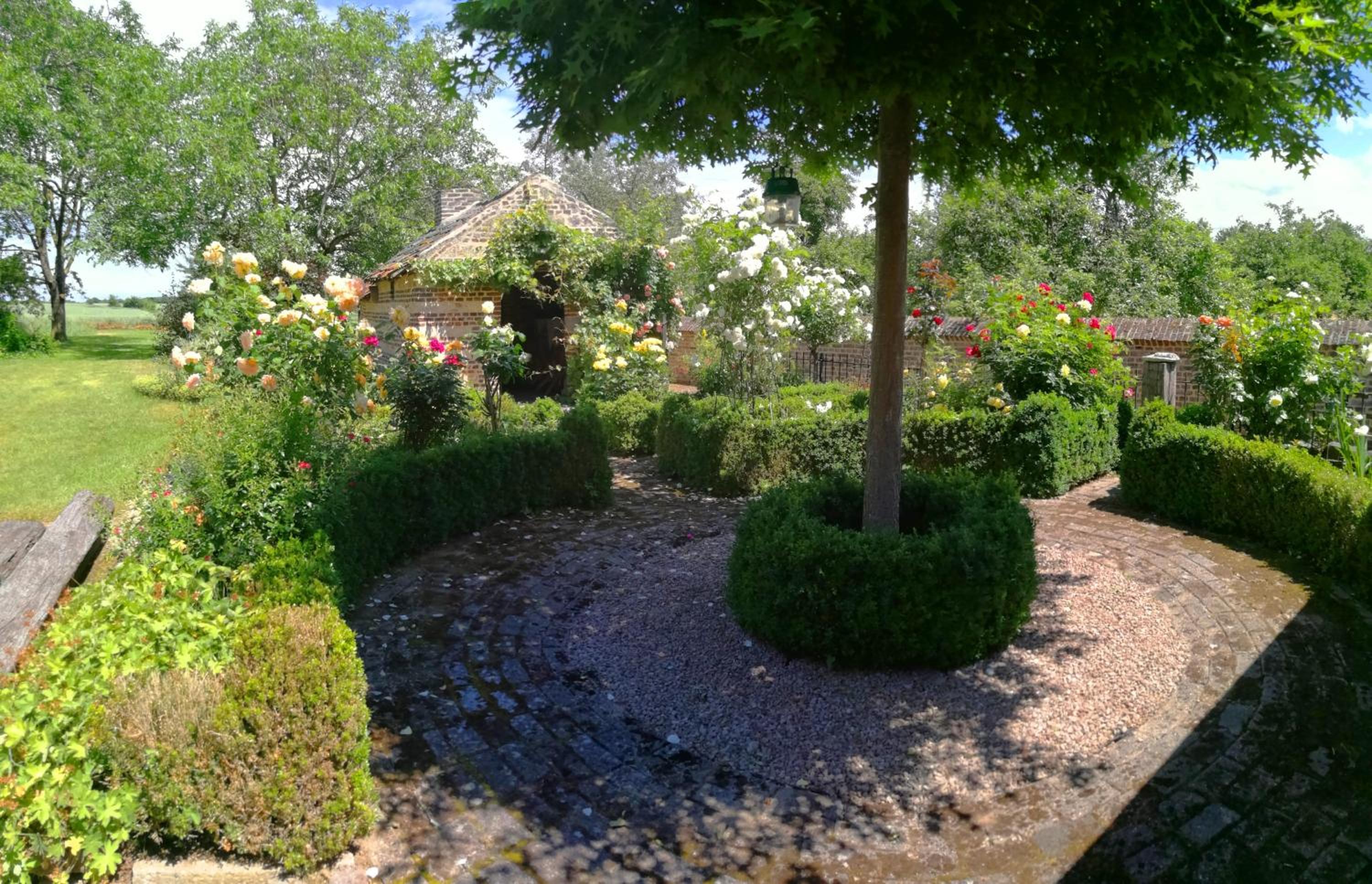 Photo 17