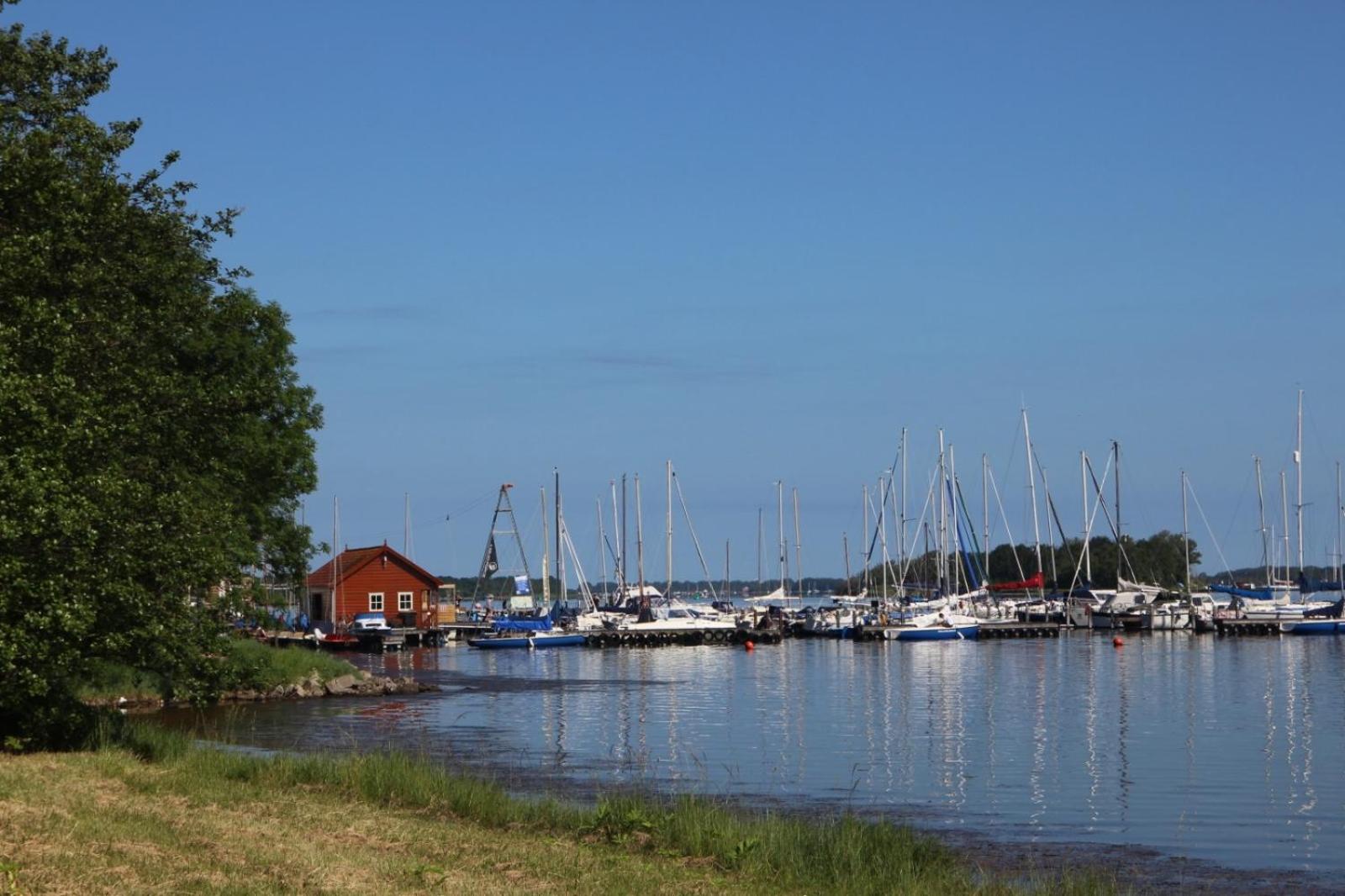 Photo 43