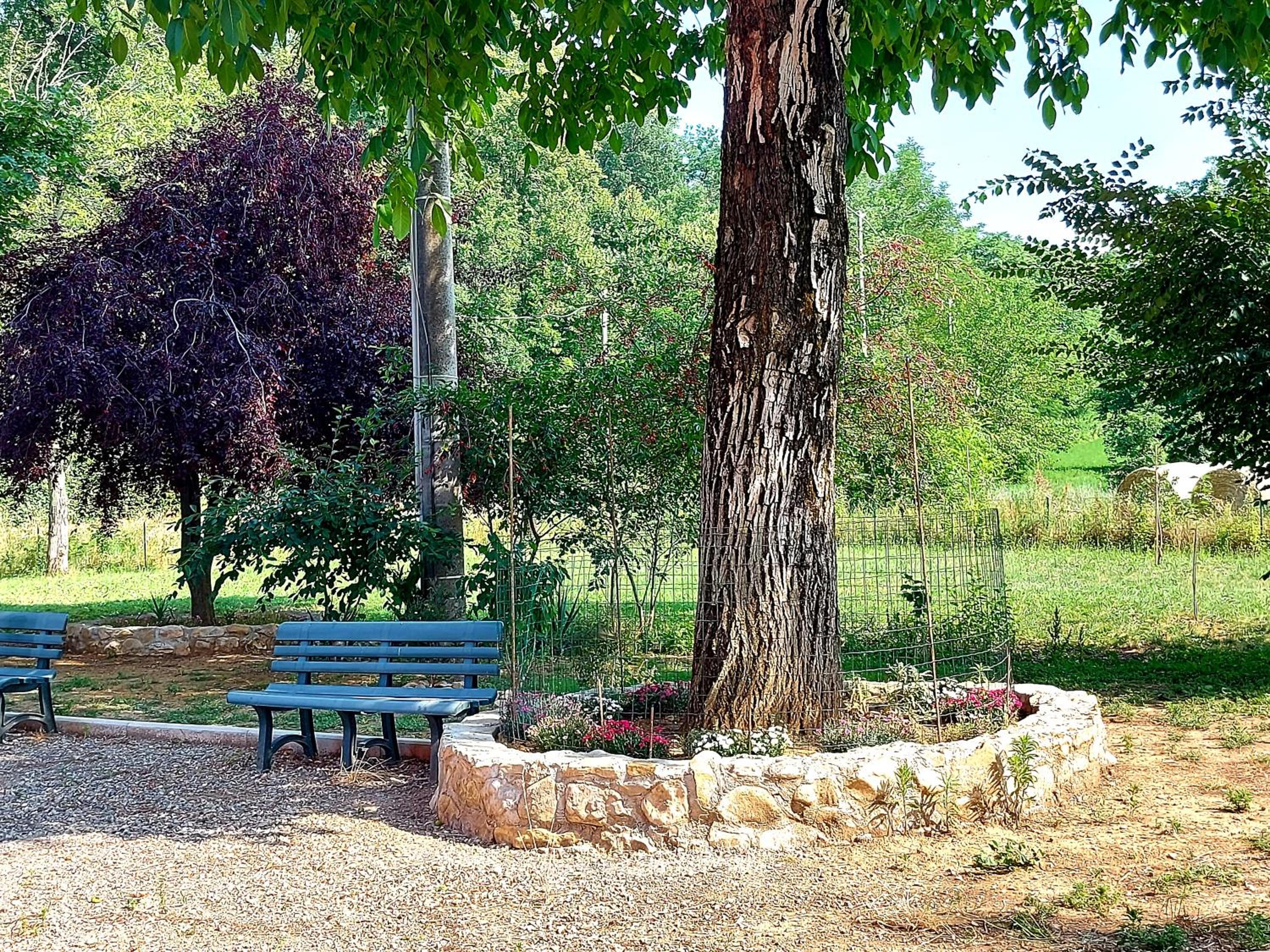 Photo 15