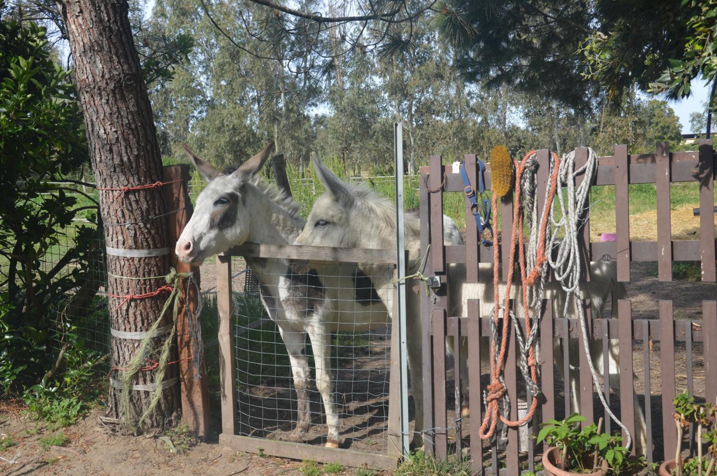 B&B Fra e Fe photo 5