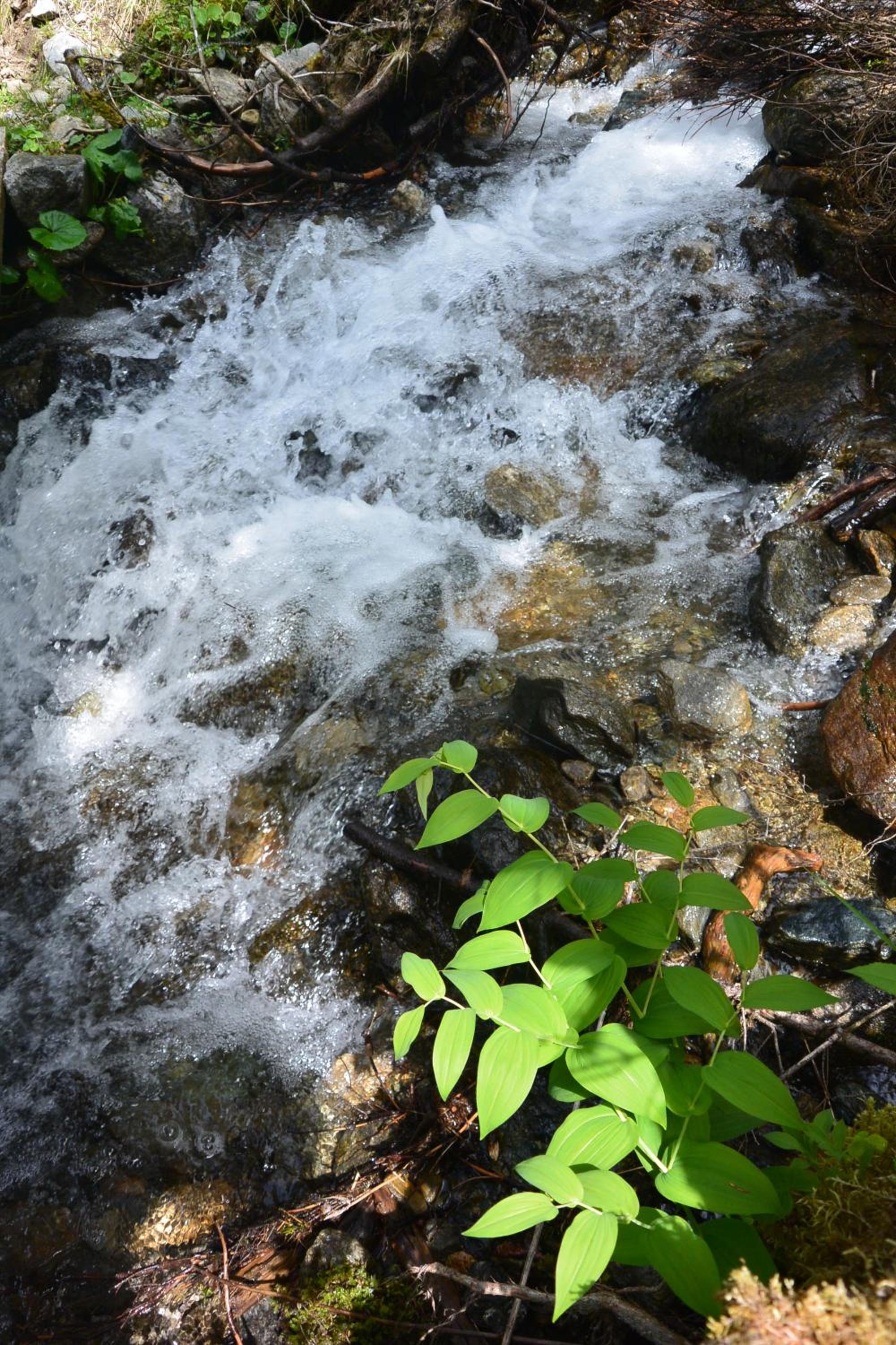 Photo 43