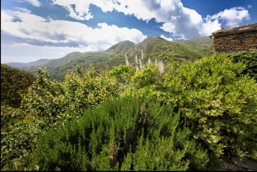 Casa Costa - Ruhe und Natur pur view 5