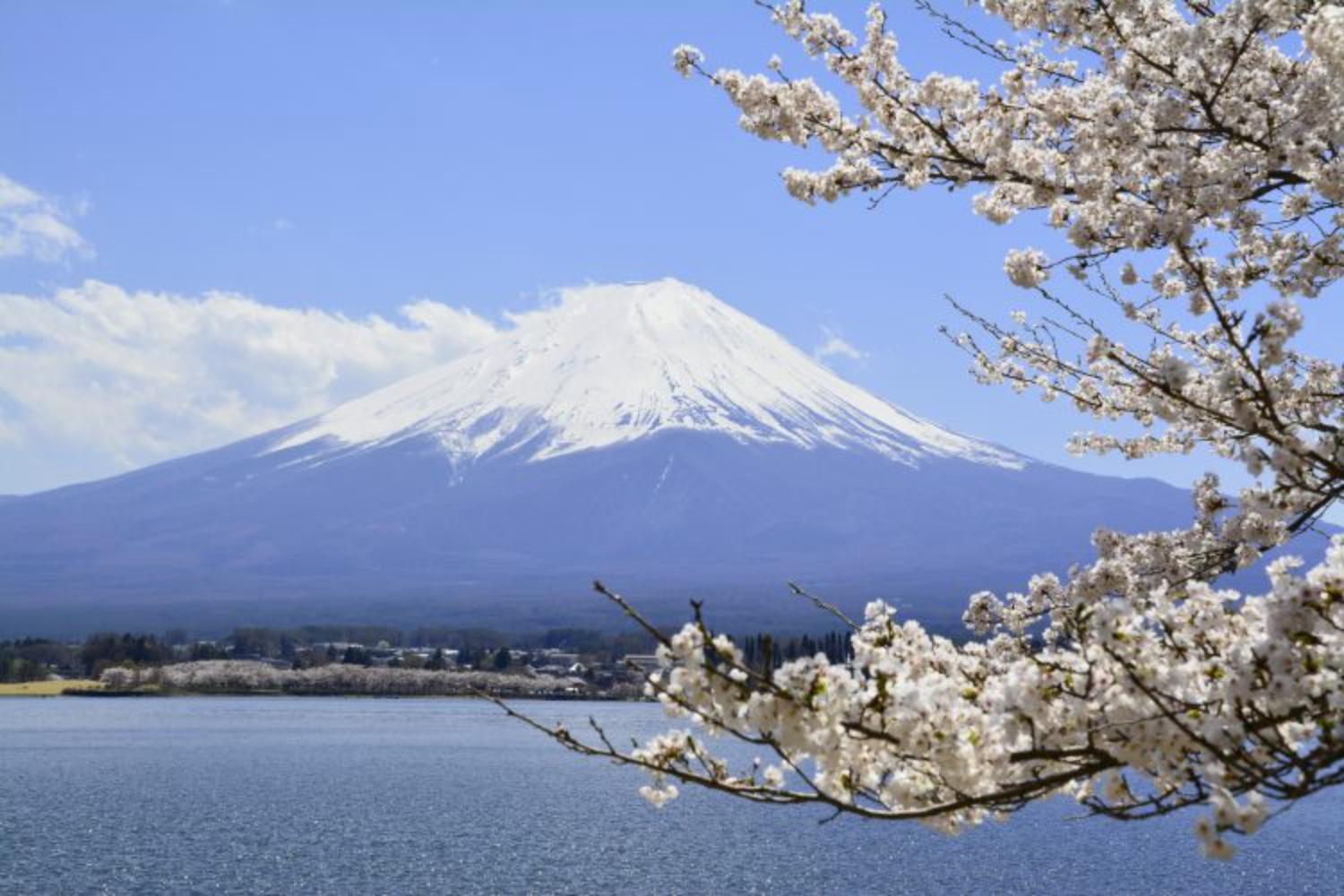 Laffitte Tokyo WEST