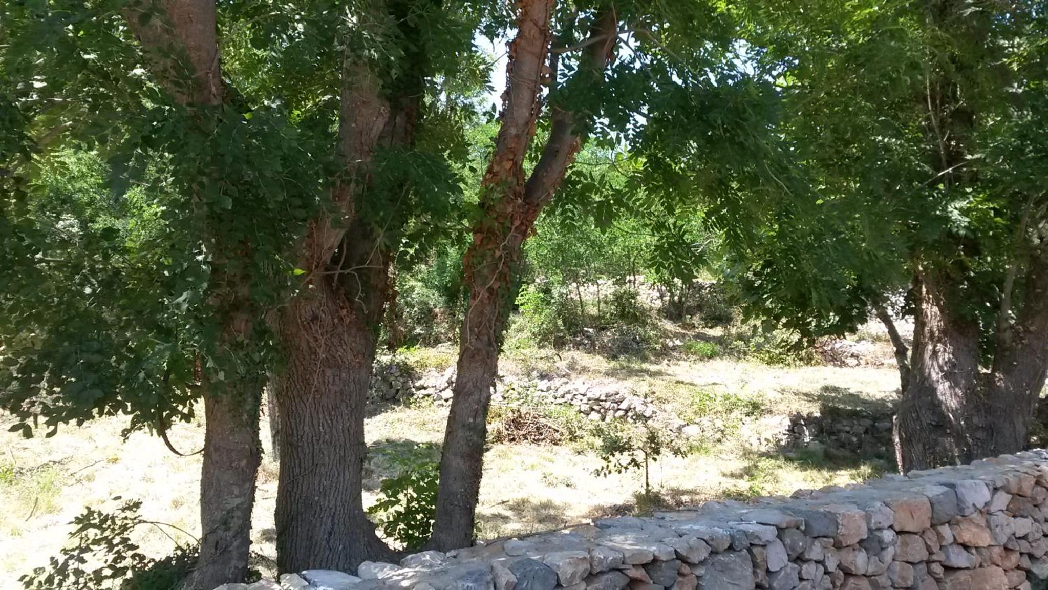 Photo 7