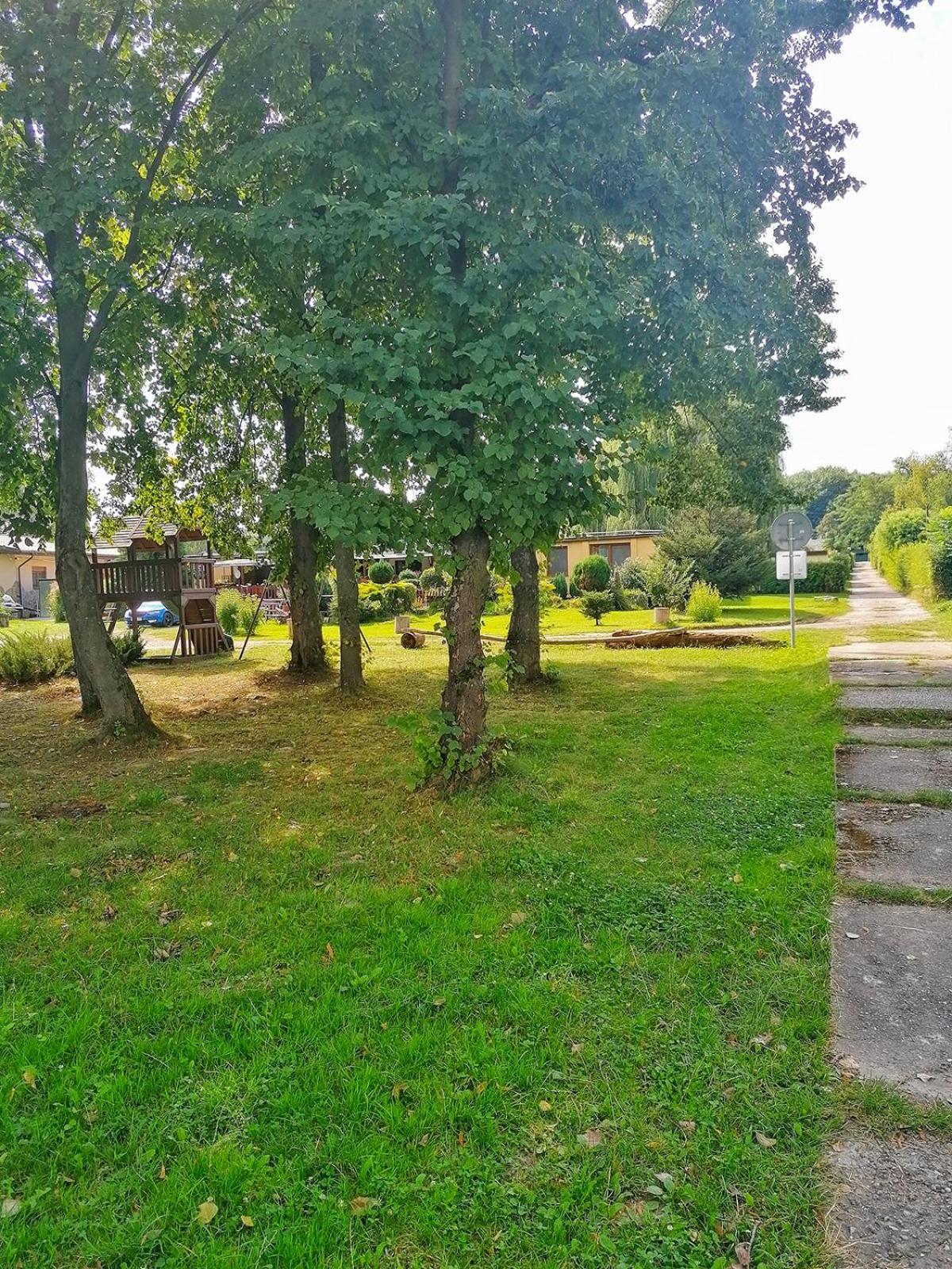 Photo 37
