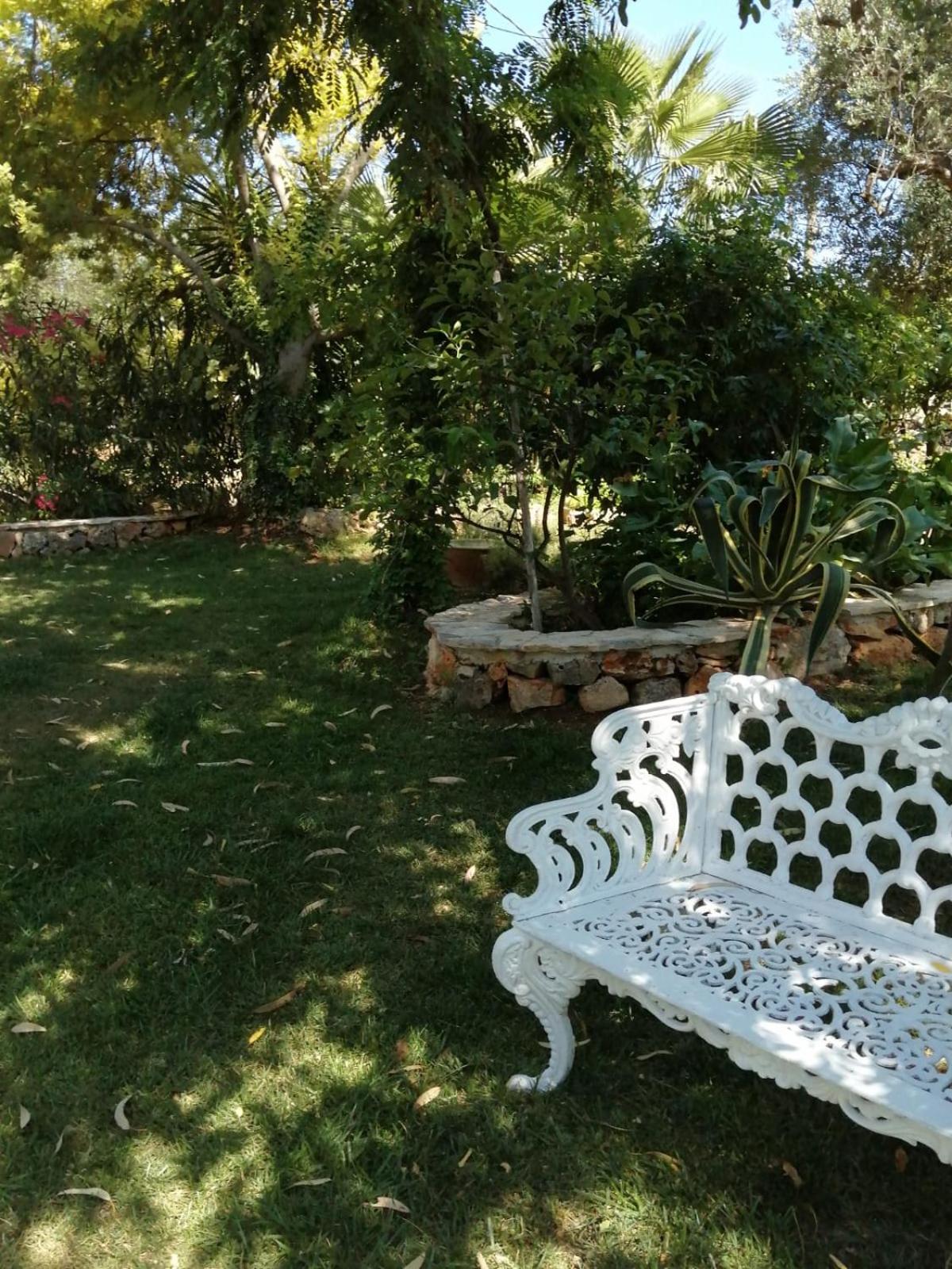 Photo 20