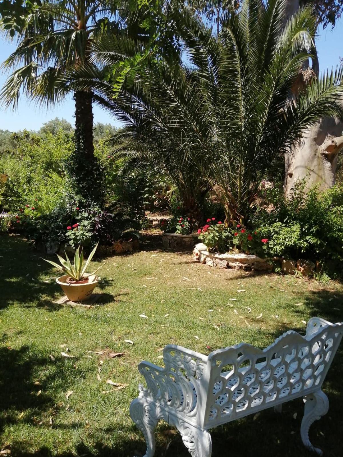 Photo 28