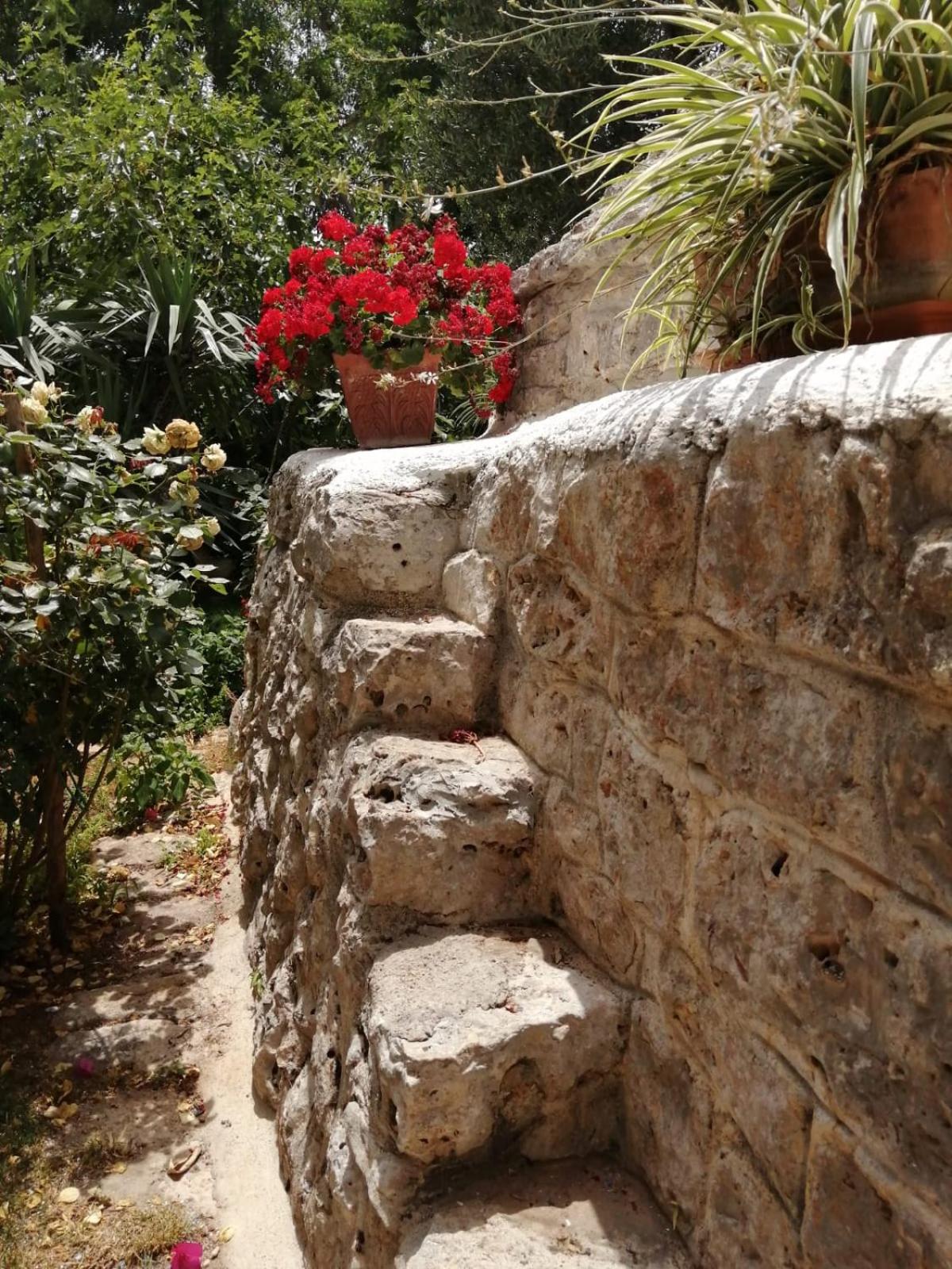 Photo 42