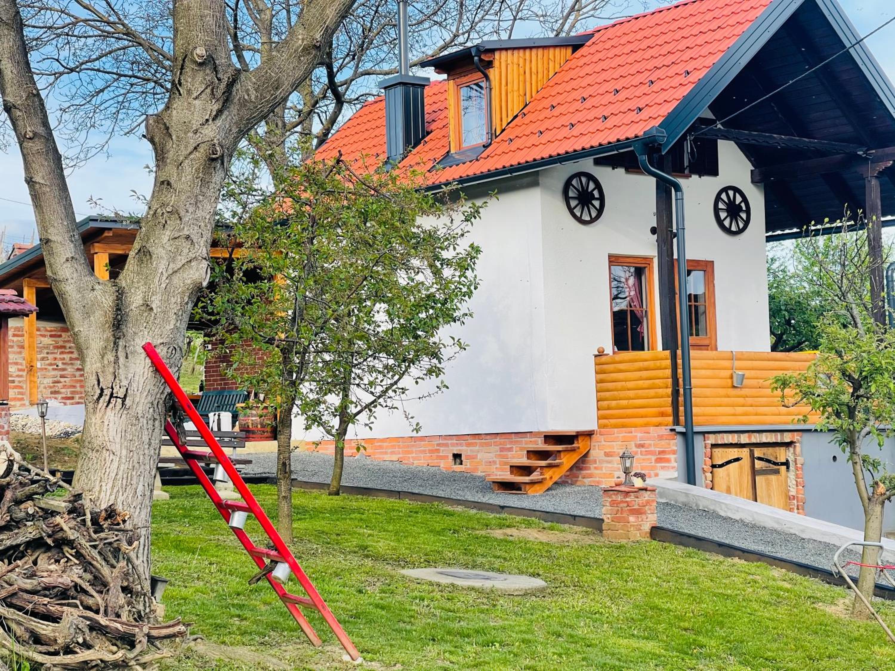 Holiday home DEDINA HIŽICA view 3